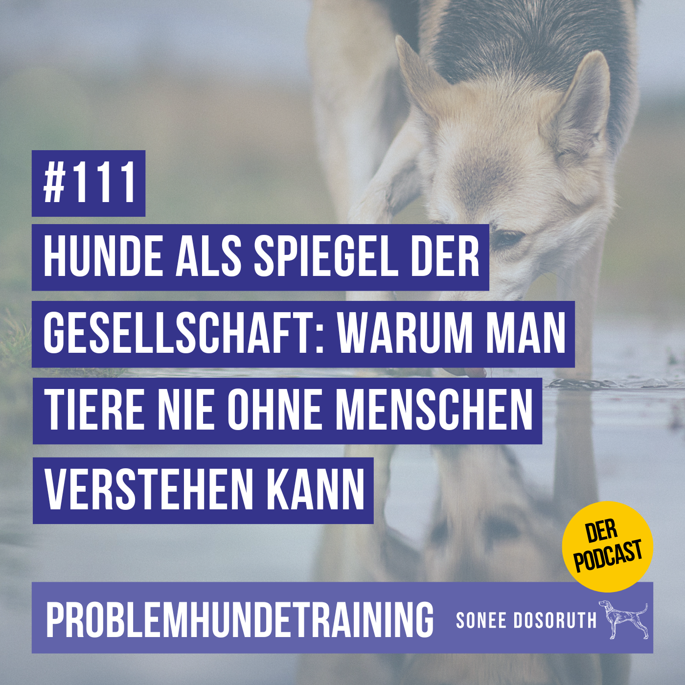 Hunde als Spiegel der Gesellschaft: Warum man Tiere nie ohne Menschen verstehen kann