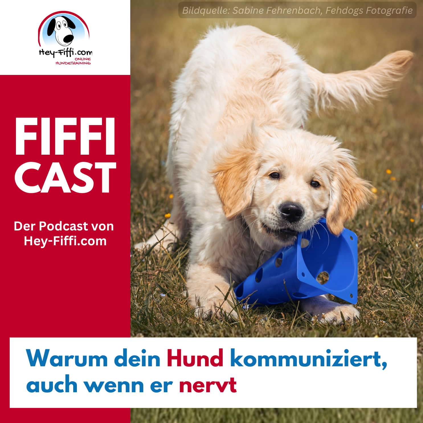 Warum dein Hund kommuniziert, auch wenn er nervt