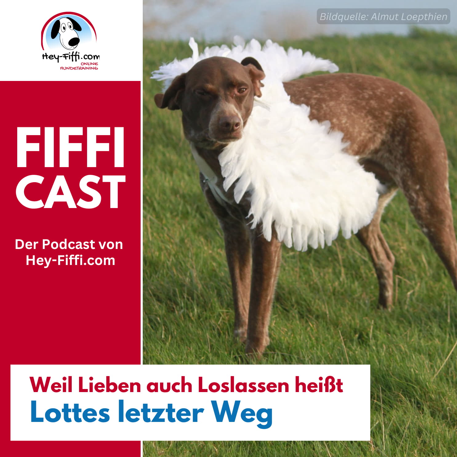 Weil Lieben auch Loslassen heißt – Lottes letzter Weg Weil Lieben auch Loslassen heißt – Lottes letzter Weg