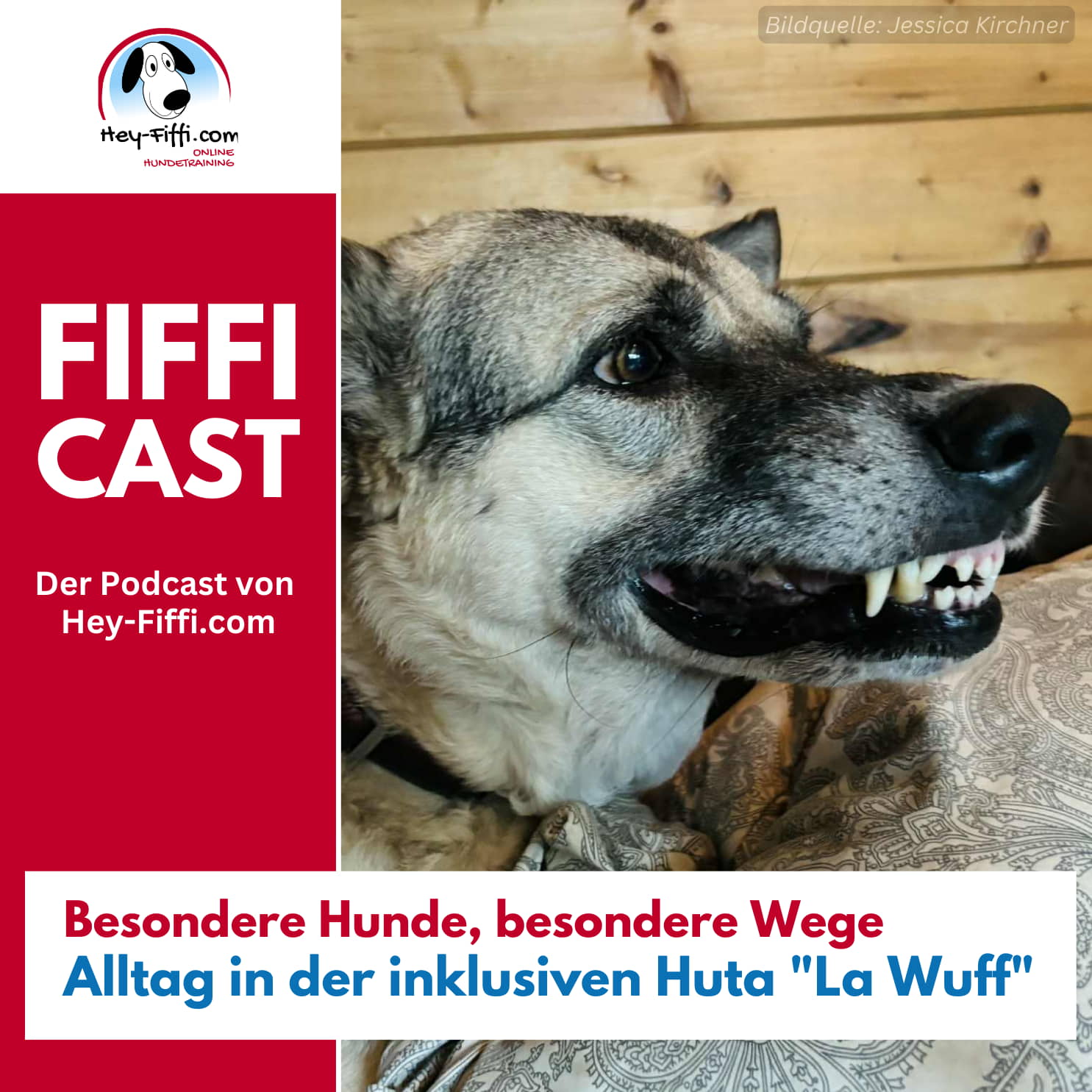 Besondere Hunde, besondere Wege: Alltag in der inklusiven Huta "La Wuff" Besondere Hunde, besondere Wege: Alltag in der inklusiven Huta "La Wuff"