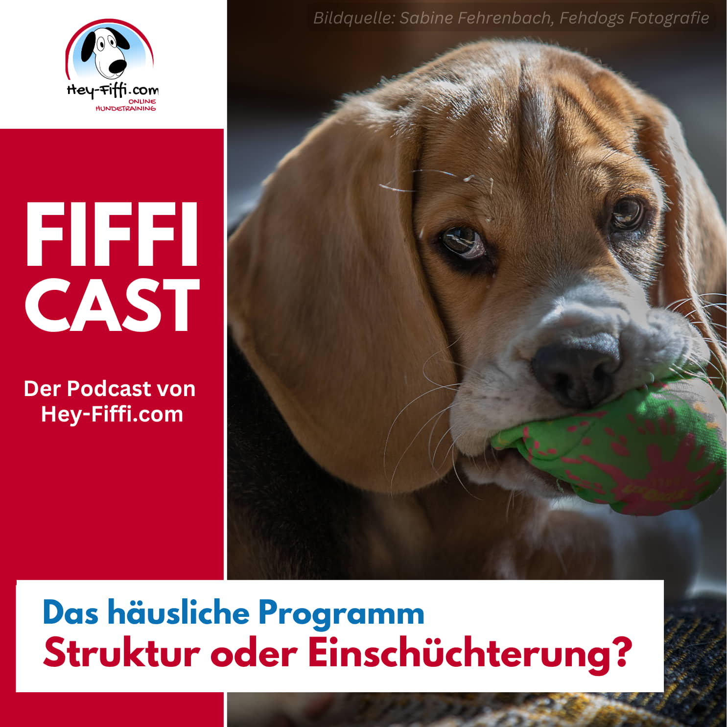 Das häusliche Programm – Struktur oder Einschüchterung? Das häusliche Programm – Struktur oder Einschüchterung?