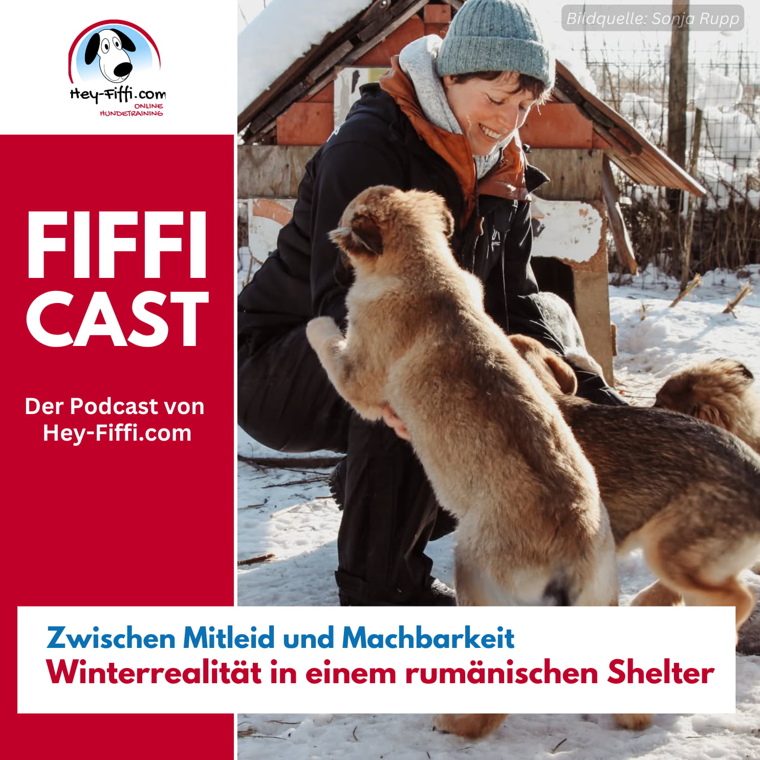 Zwischen Mitleid und Machbarkeit – Winterrealität in einem rumänischen Shelter Zwischen Mitleid und Machbarkeit – Winterrealität in einem rumänischen Shelter