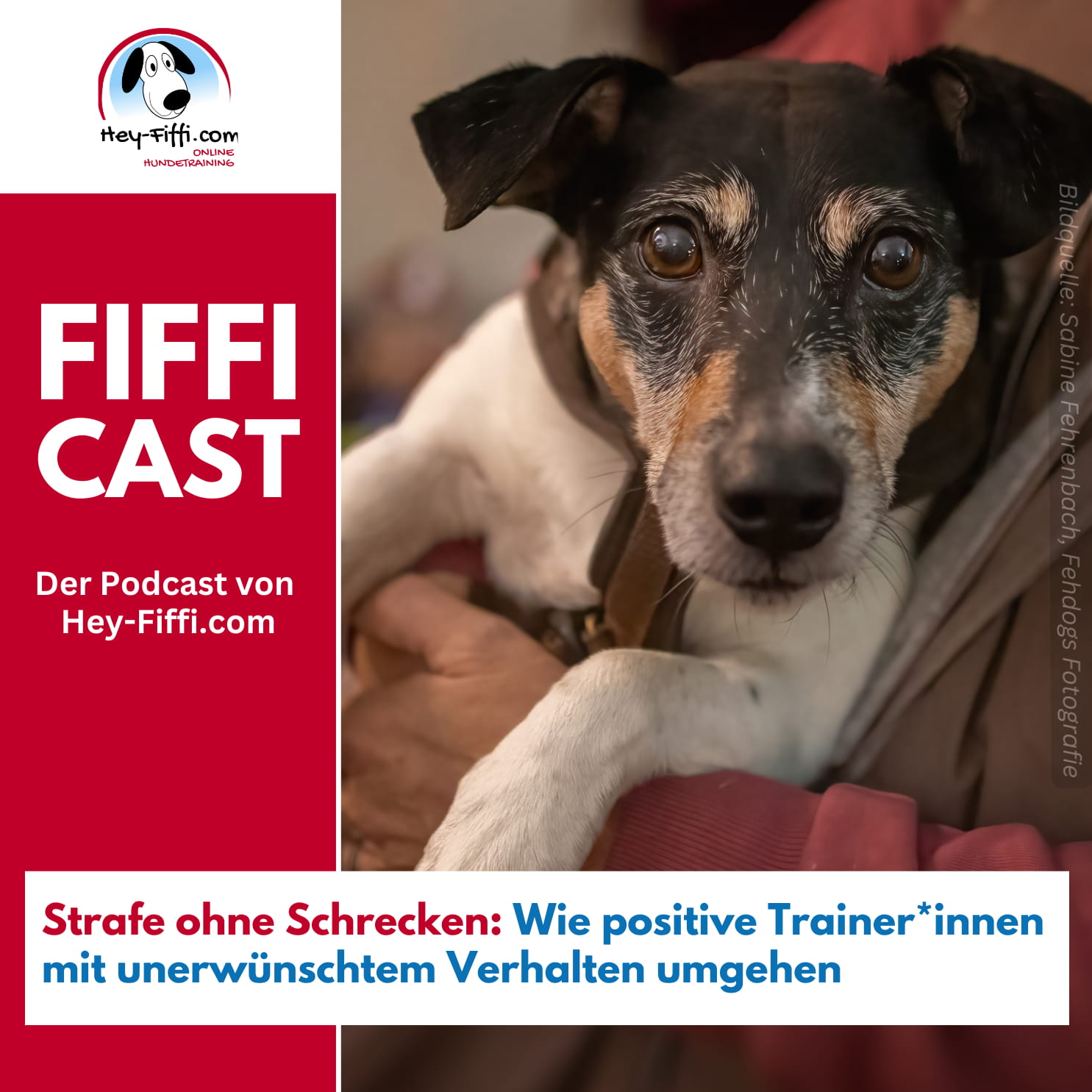 Wie positive Trainer*innen mit unerwünschtem Verhalten umgehen Wie positive Trainer*innen mit unerwünschtem Verhalten umgehen