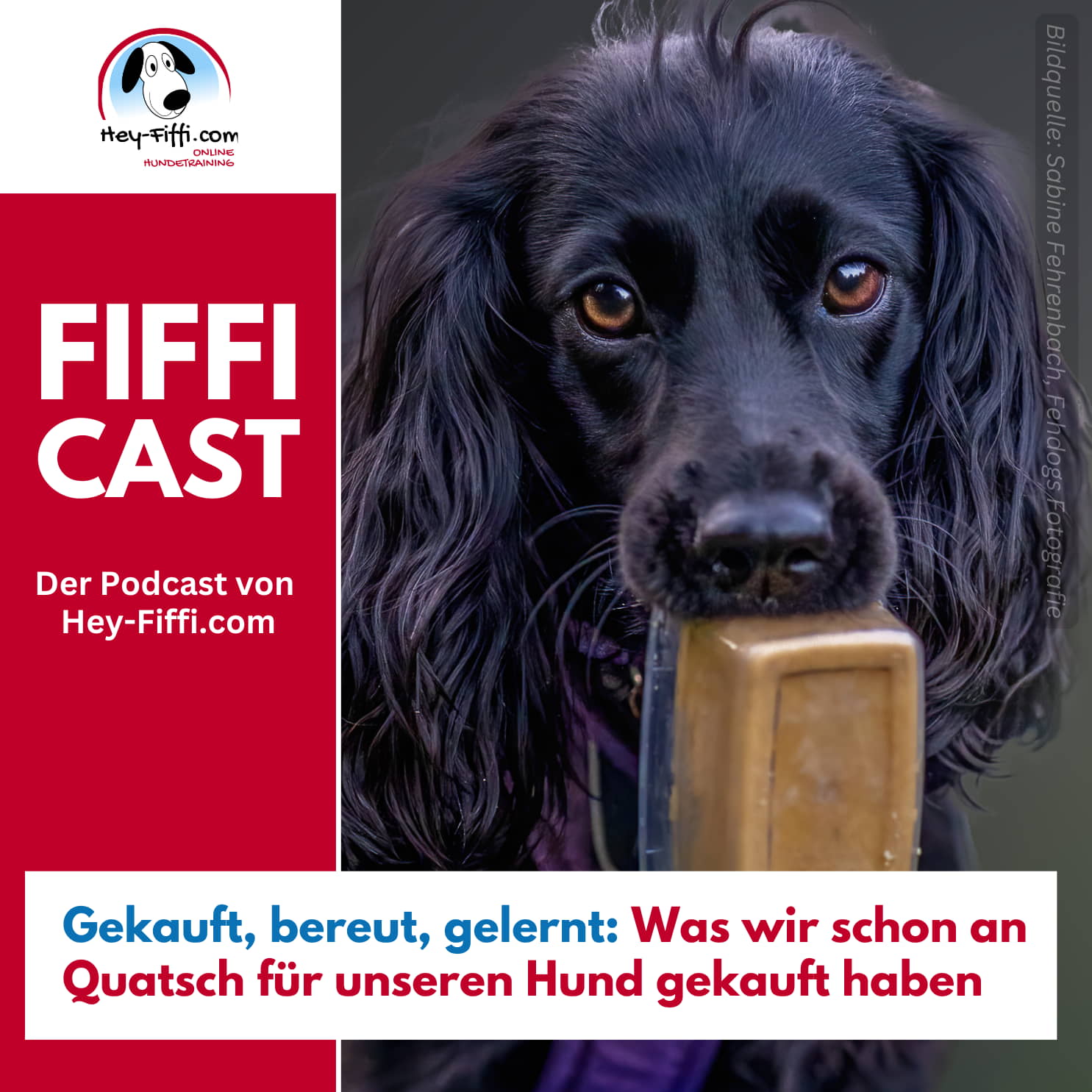 Gekauft, bereut, gelernt – Was wir schon an Quatsch für unseren Hund gekauft haben Gekauft, bereut, gelernt – Was wir schon an Quatsch für unseren Hund gekauft haben