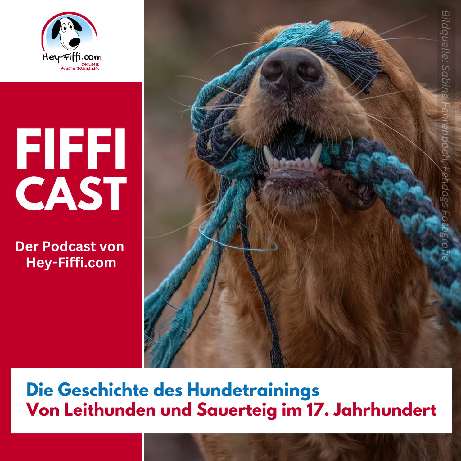 Die Geschichte des Hundetrainings, Teil 3: Von Leithunden und Sauerteig im 17. Jahrhundert