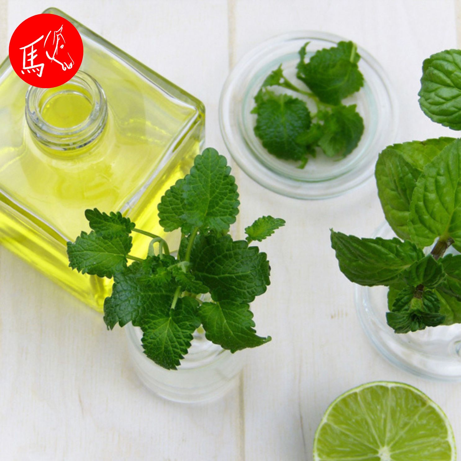 Infoabend "Tier-Aromaberater"