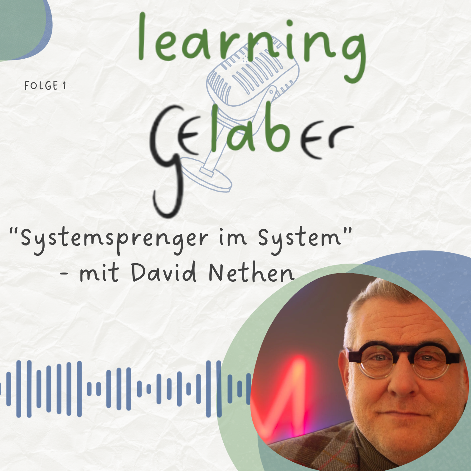 Learning Gelaber #1 – Systemsprenger im System: David Nethen über Mut, Projektlernen und Transformation episode artwork
