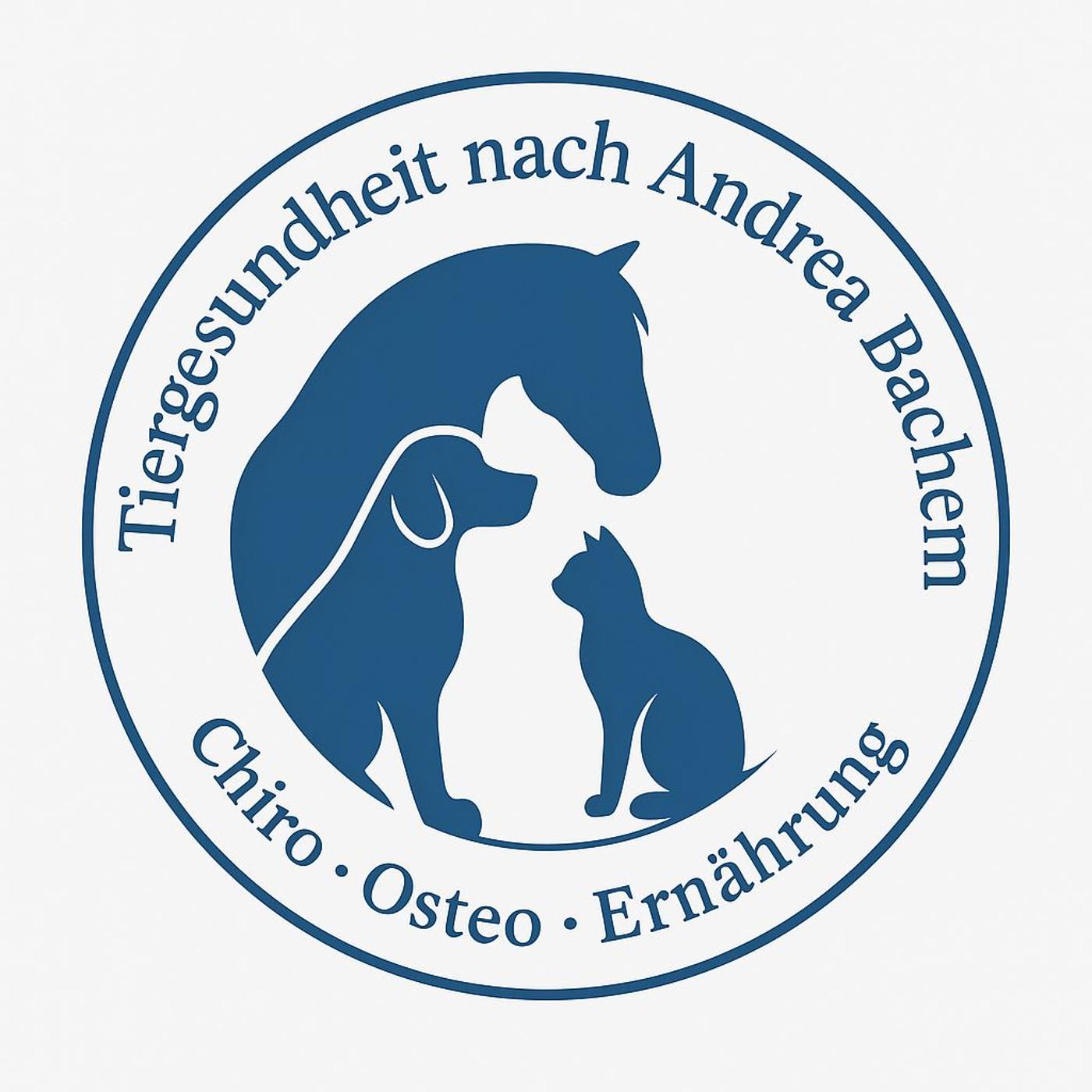 Ganzheitliche Wirbelsäulentherapie beim Hund