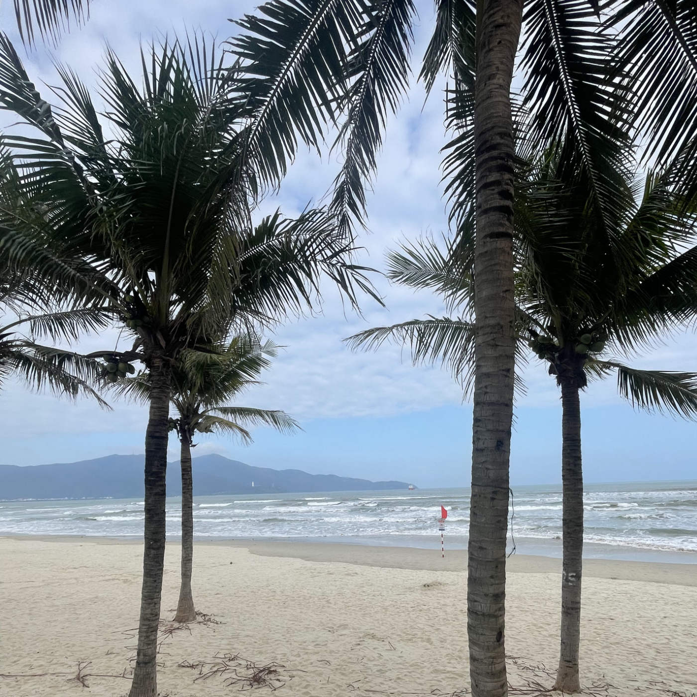 (ohne Musik) So, 15.02. Entspannt einschlafen - Sanftes Rauschen, weiter Horizont