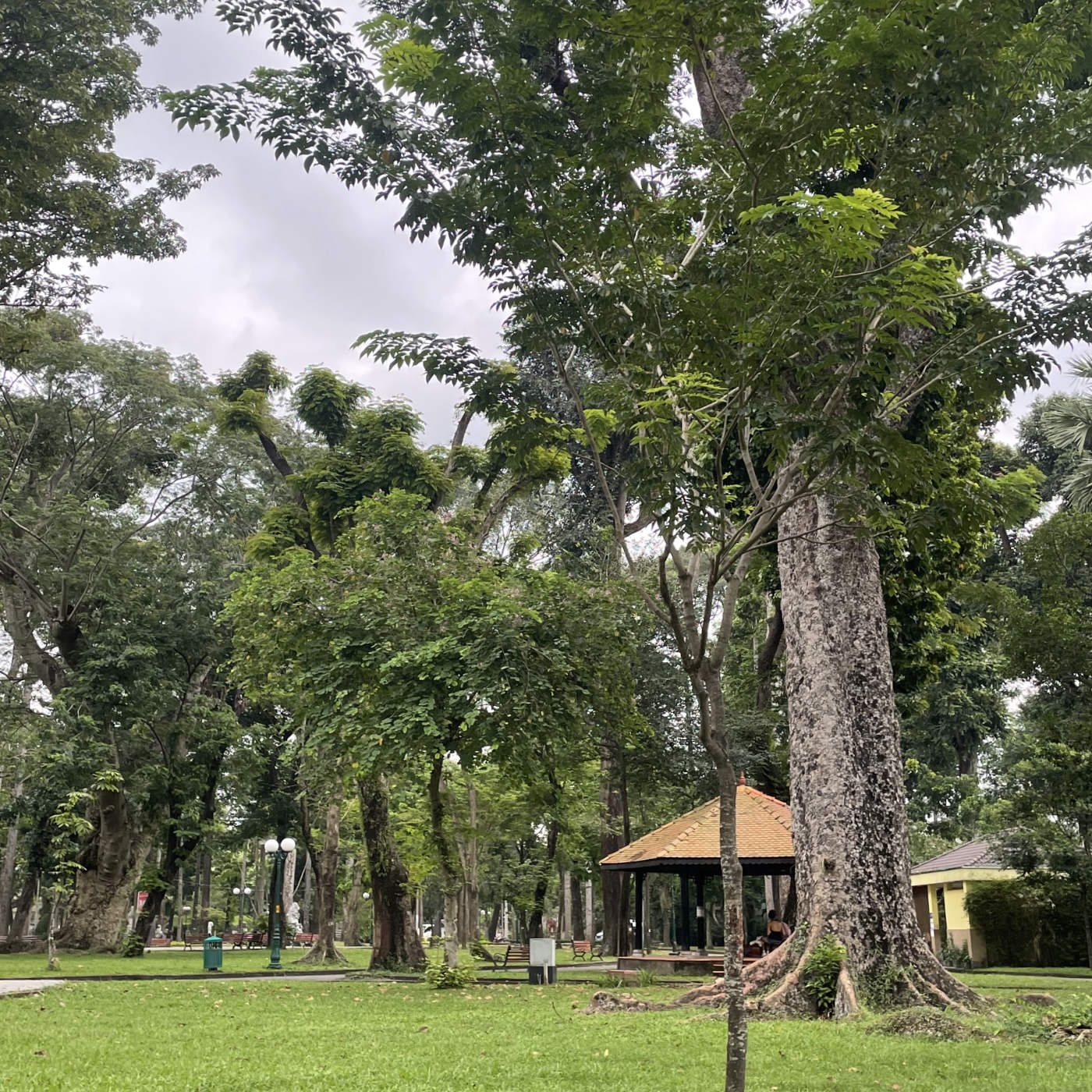 (ohne Musik) Aschermittwoch, 18.02. Entspannt einschlafen - Der Park der alten Bäume