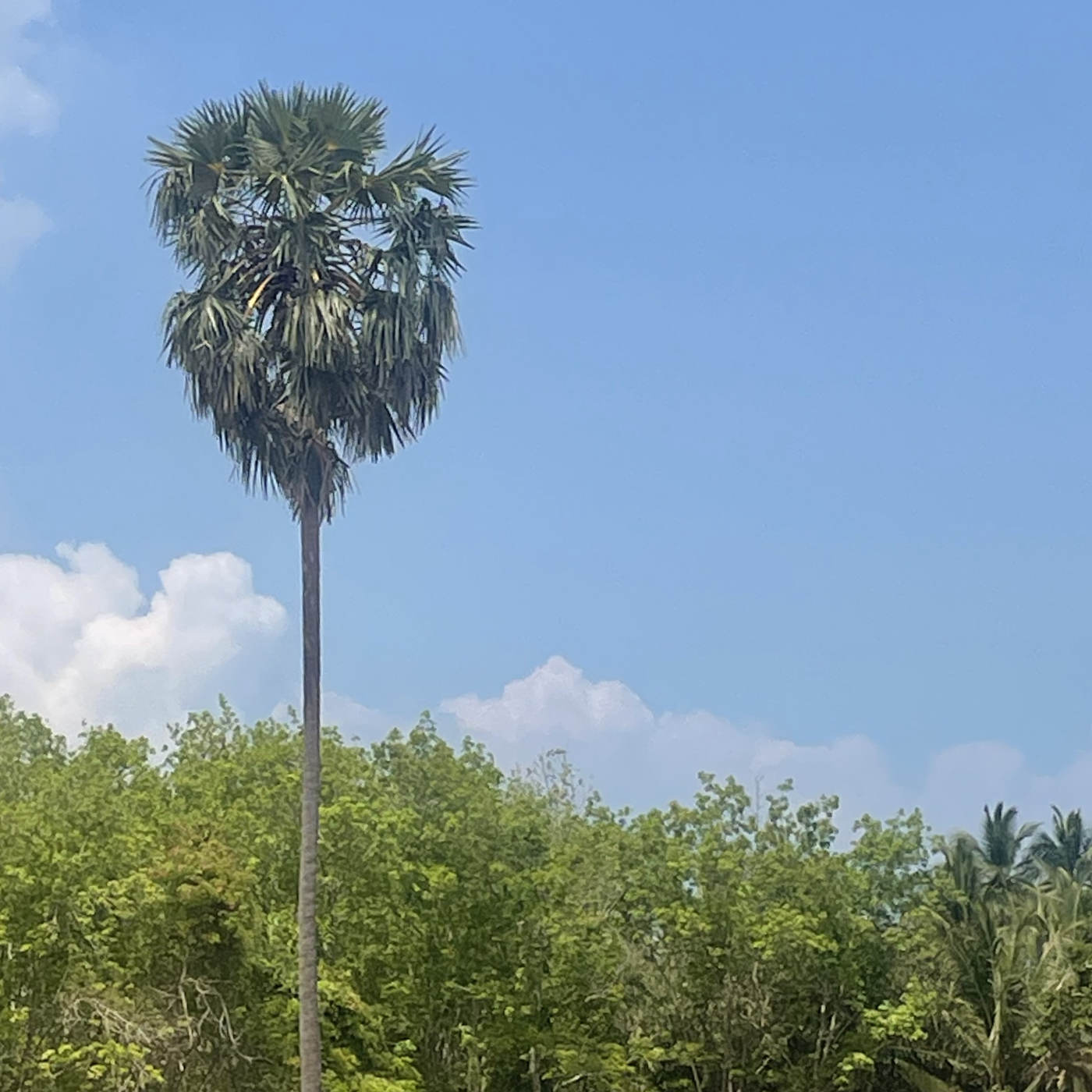 (ohne Musik) Fr, 27.02. Entspannt einschlafen - Am Rand des Waldes