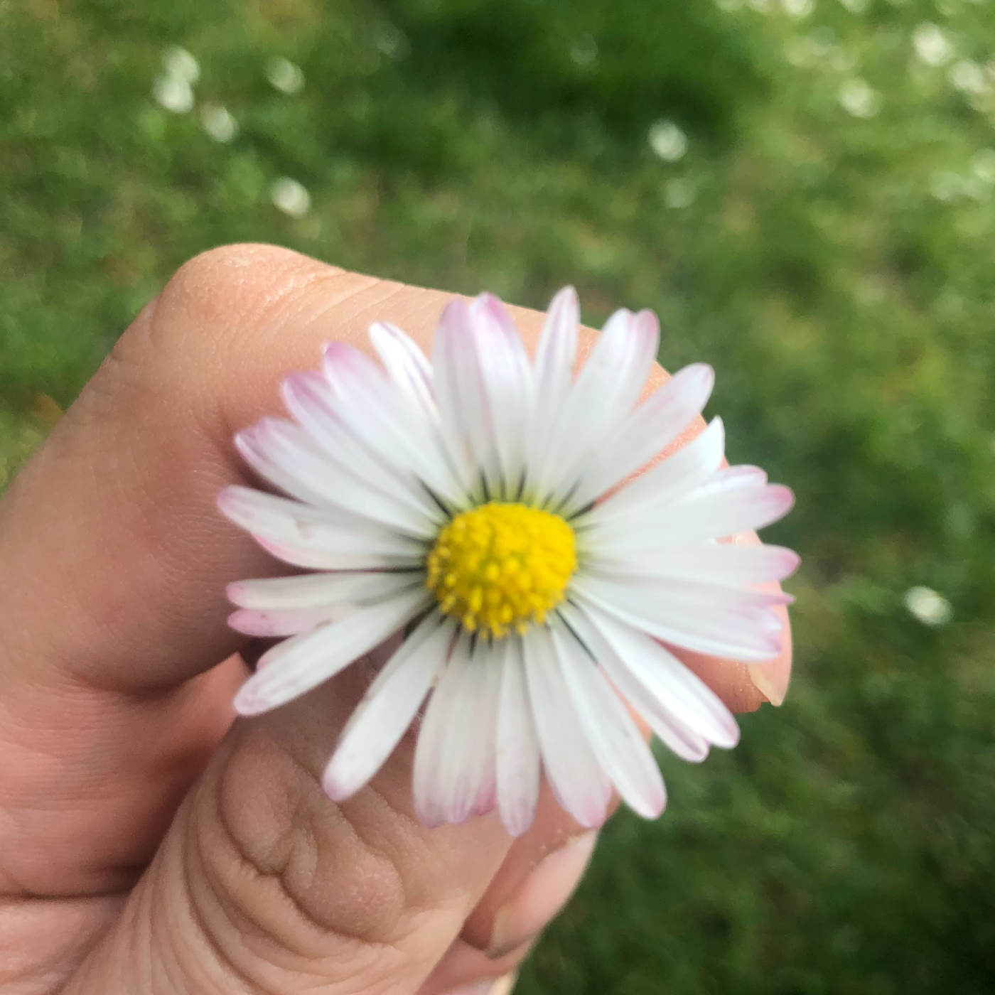 (ohne Musik) Mo, 02.03. Entspannt einschlafen - Das Leuchten in deiner Hand