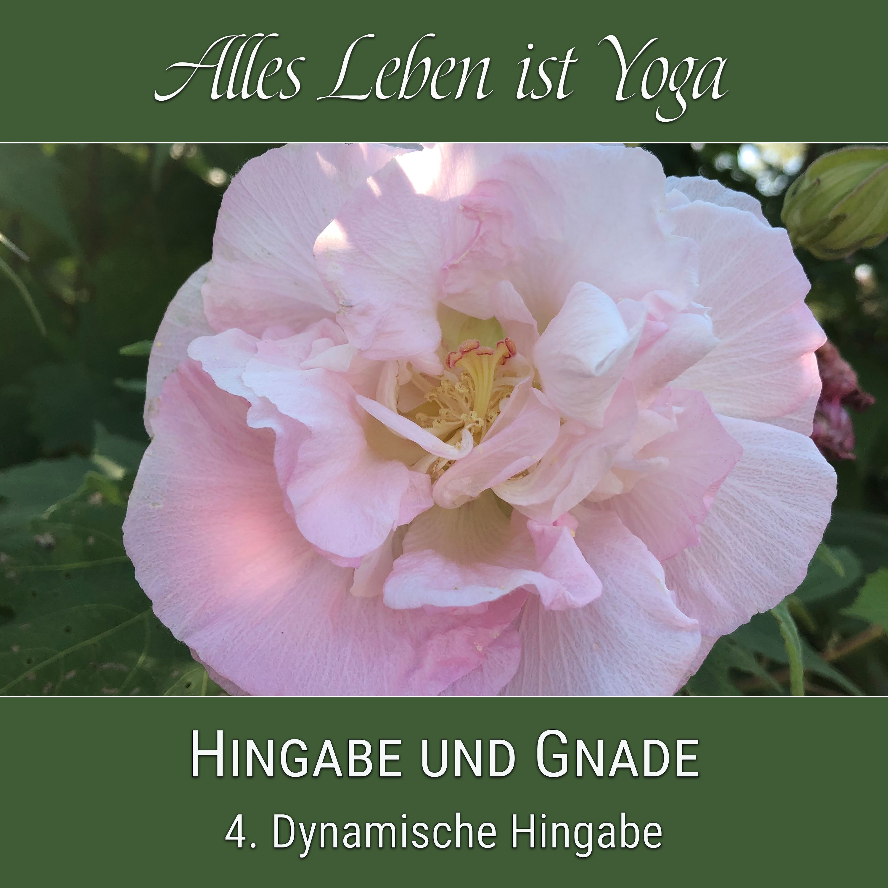 Alles Leben ist Yoga