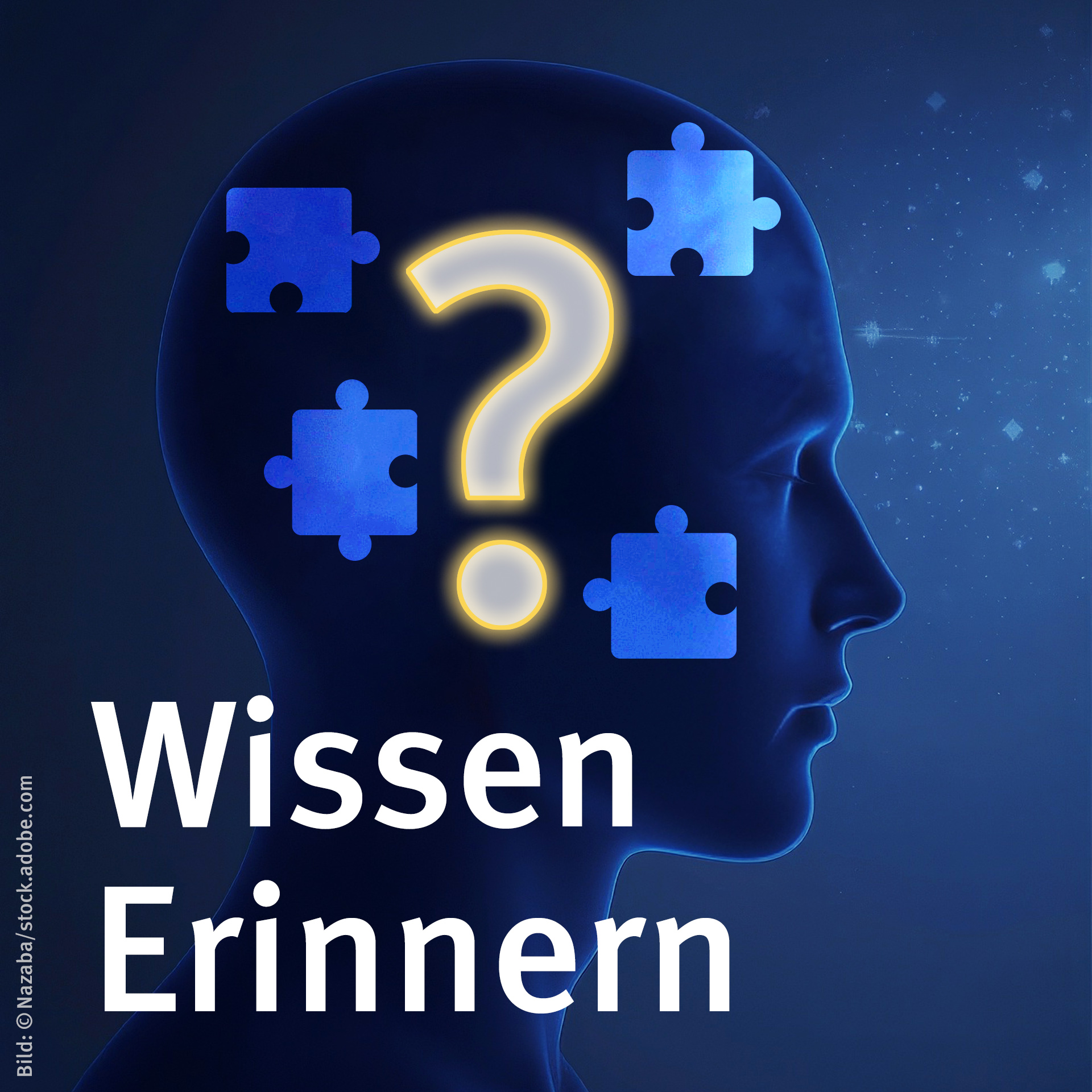 Wissen Erinnern