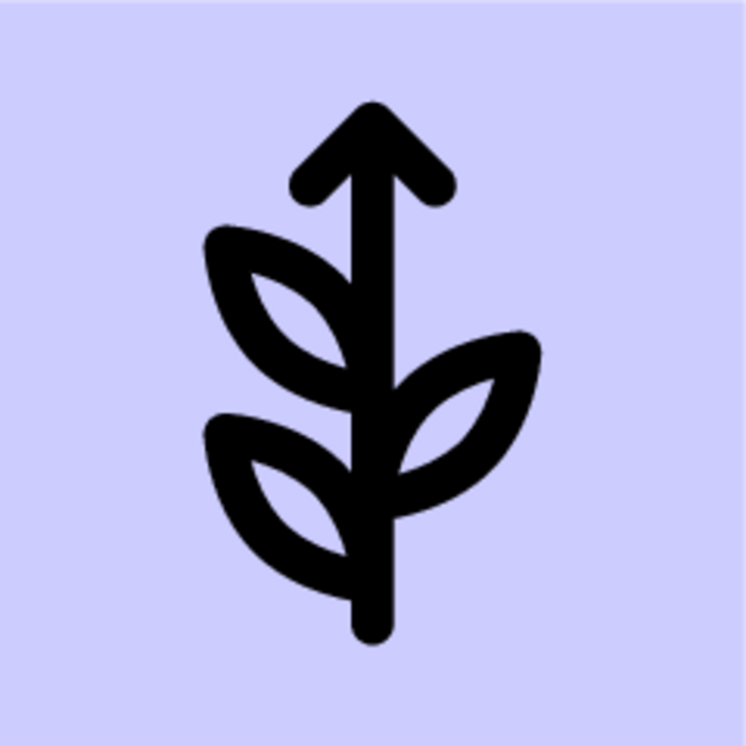 Maturitas: 7 Aufgaben