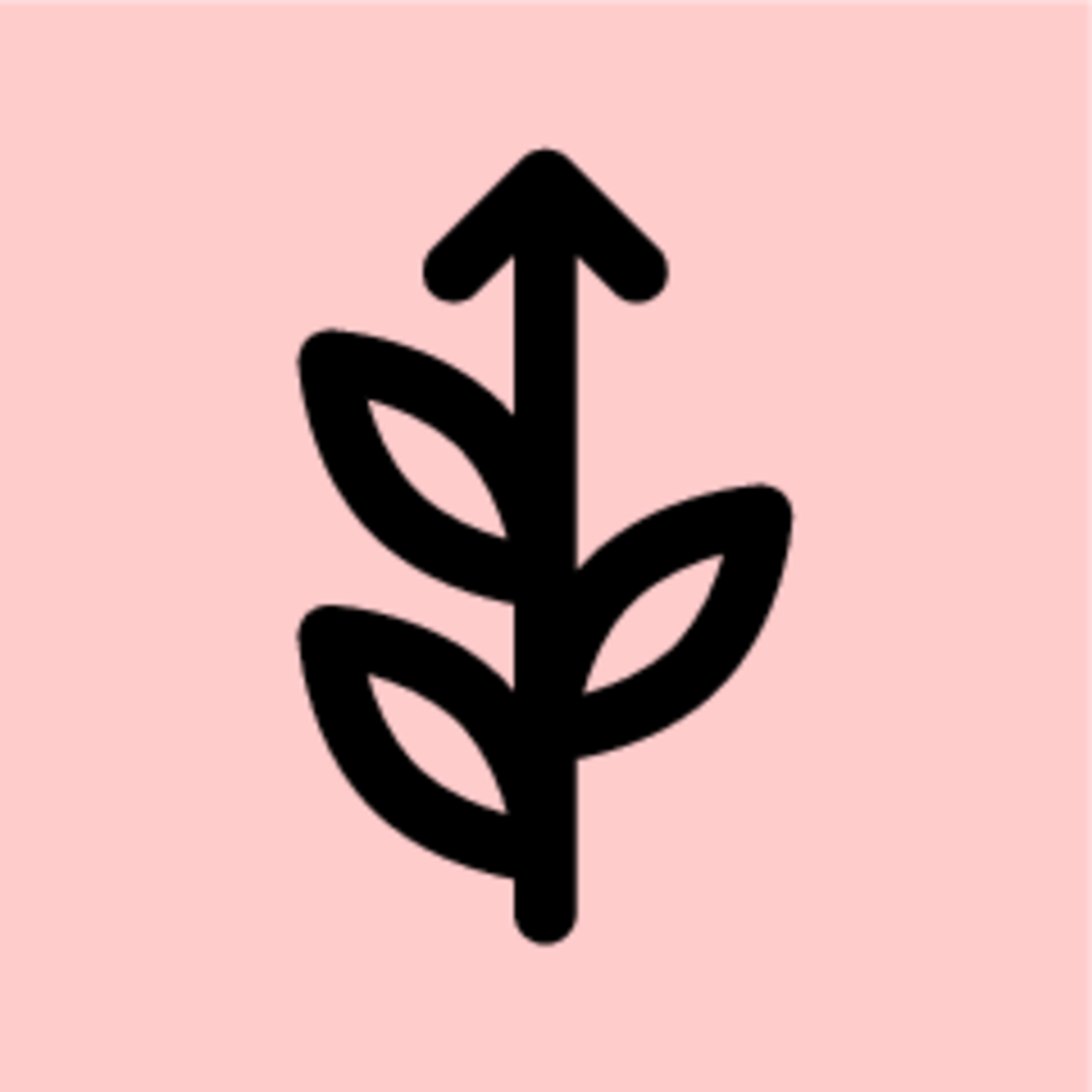 Maturitas: Individuum - Das Ungeteilte