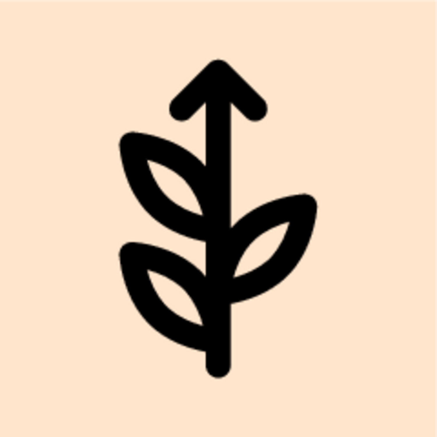 Maturitas: Erfahrungen in der Fremde