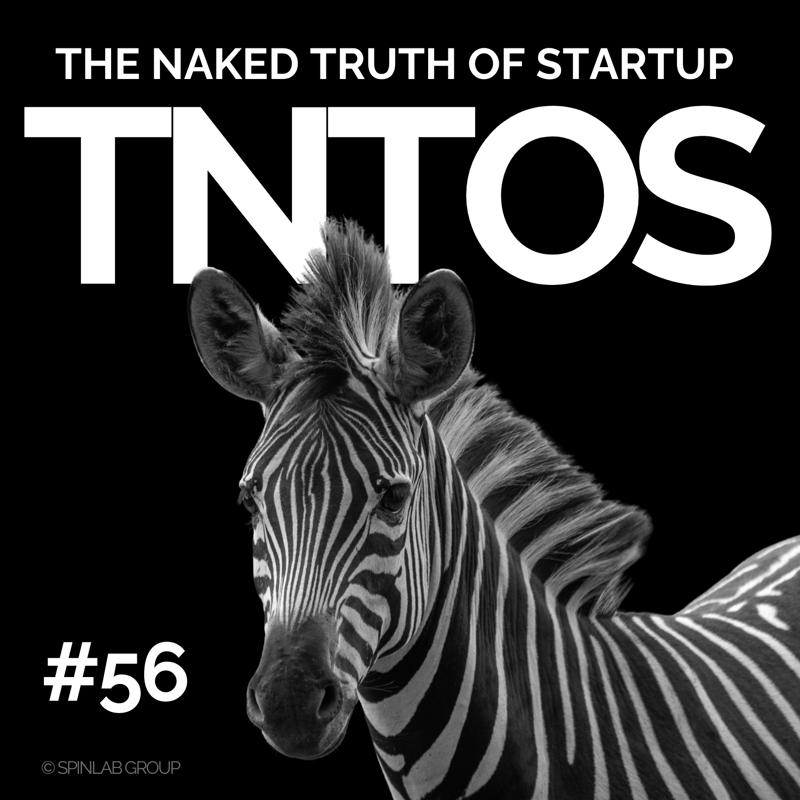 Die brutale Wahrheit über Startup-Finanzierung - Daniel Kroll von Pava Partners episode artwork