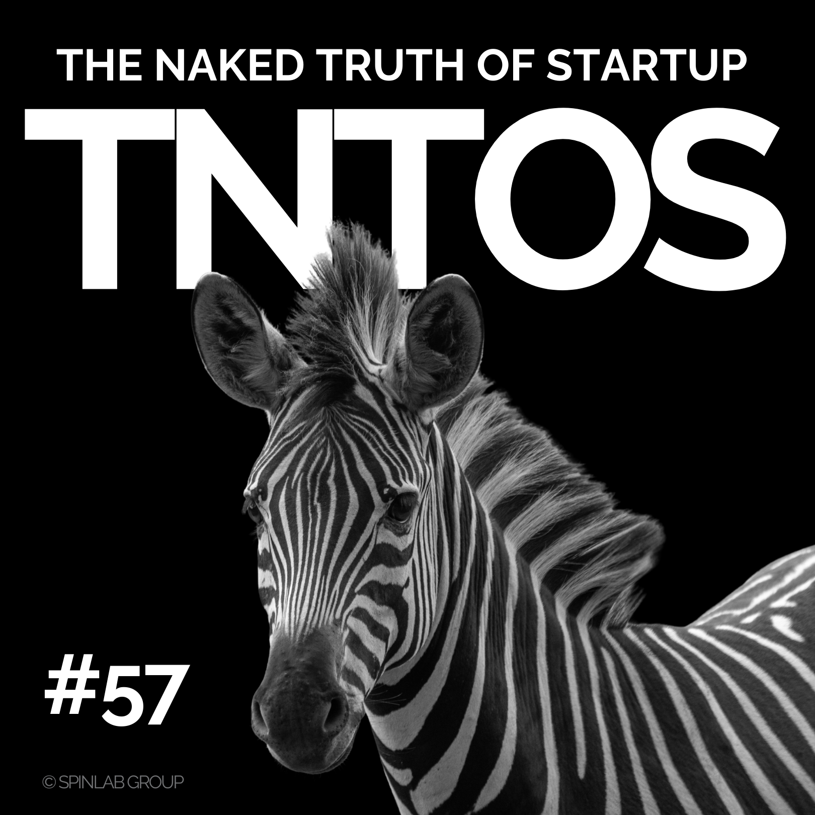 The Naked Truth of Startup - TNTOS