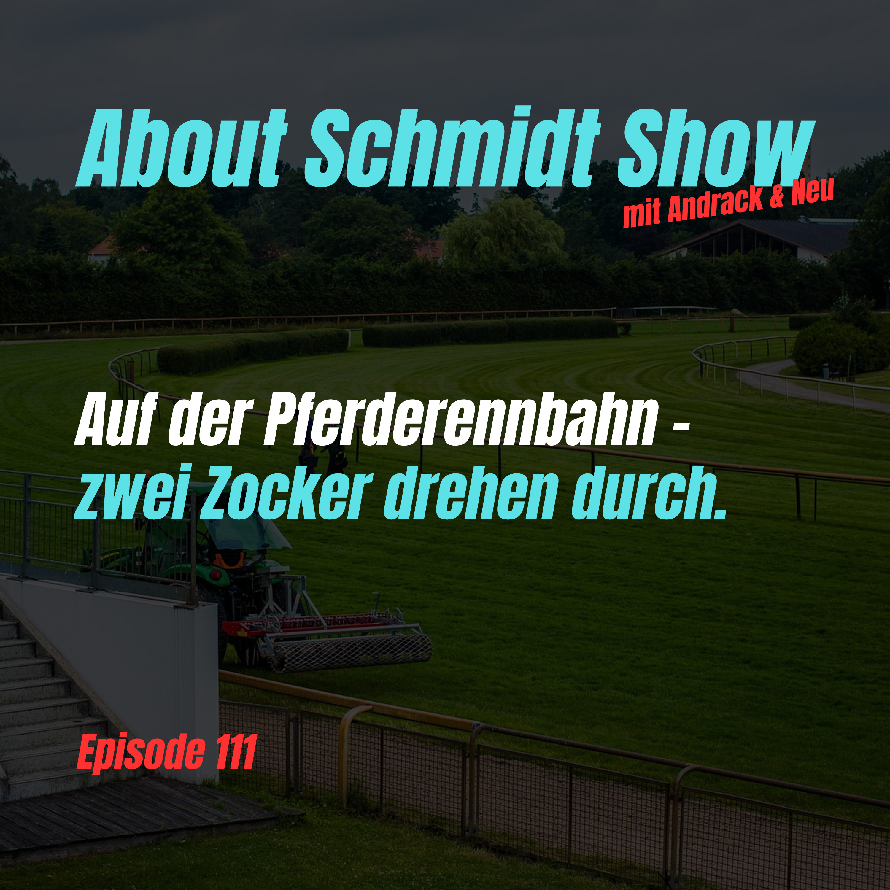 About Schmidt Show