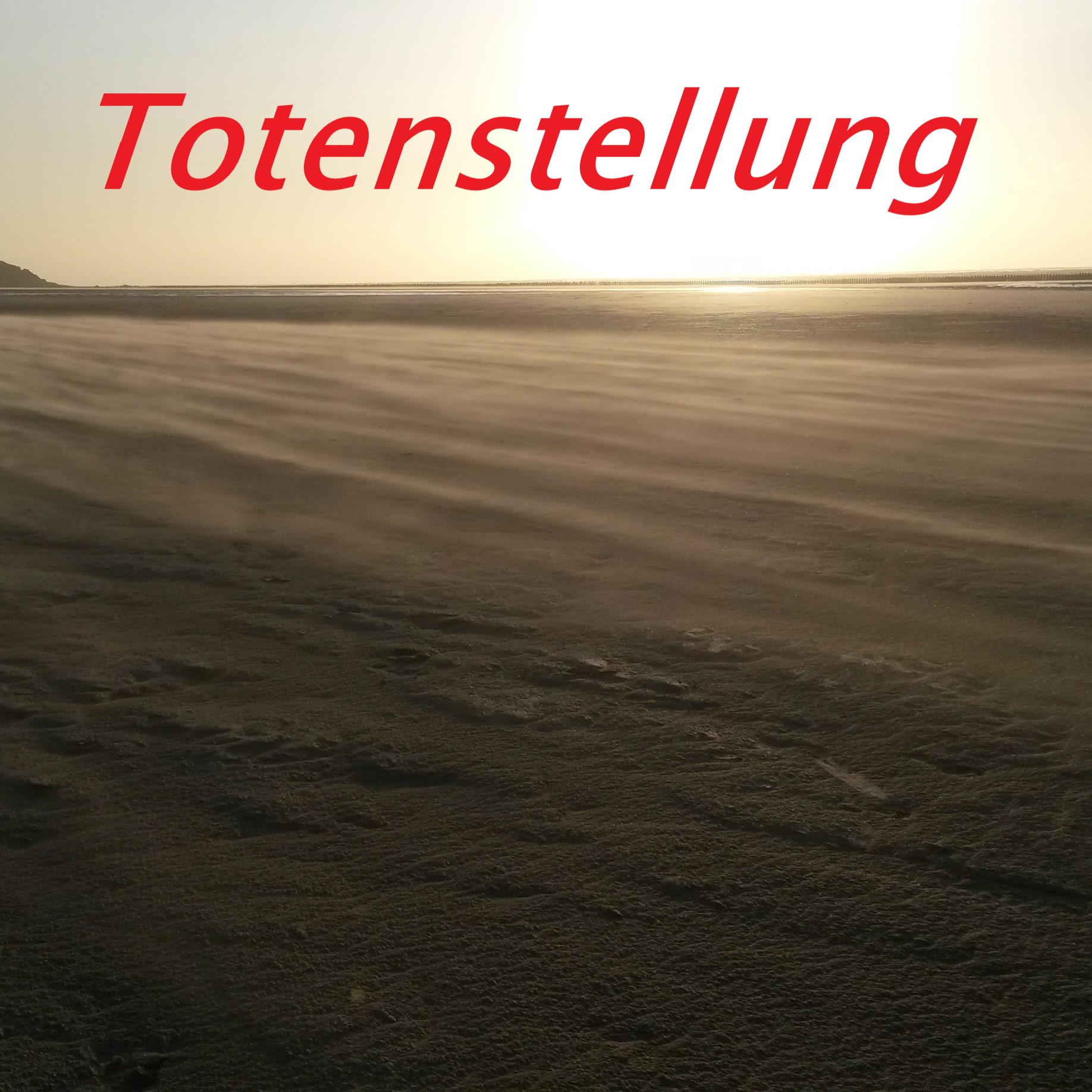 Totenstellung episode artwork