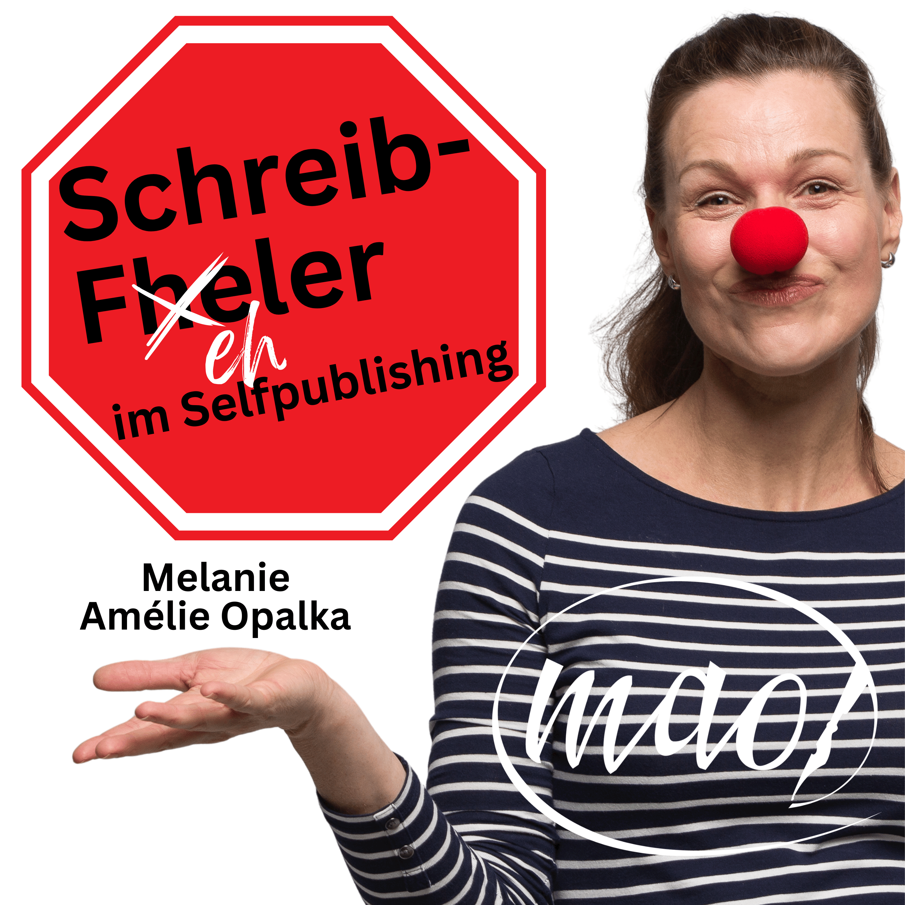 SchreibFehler cover art