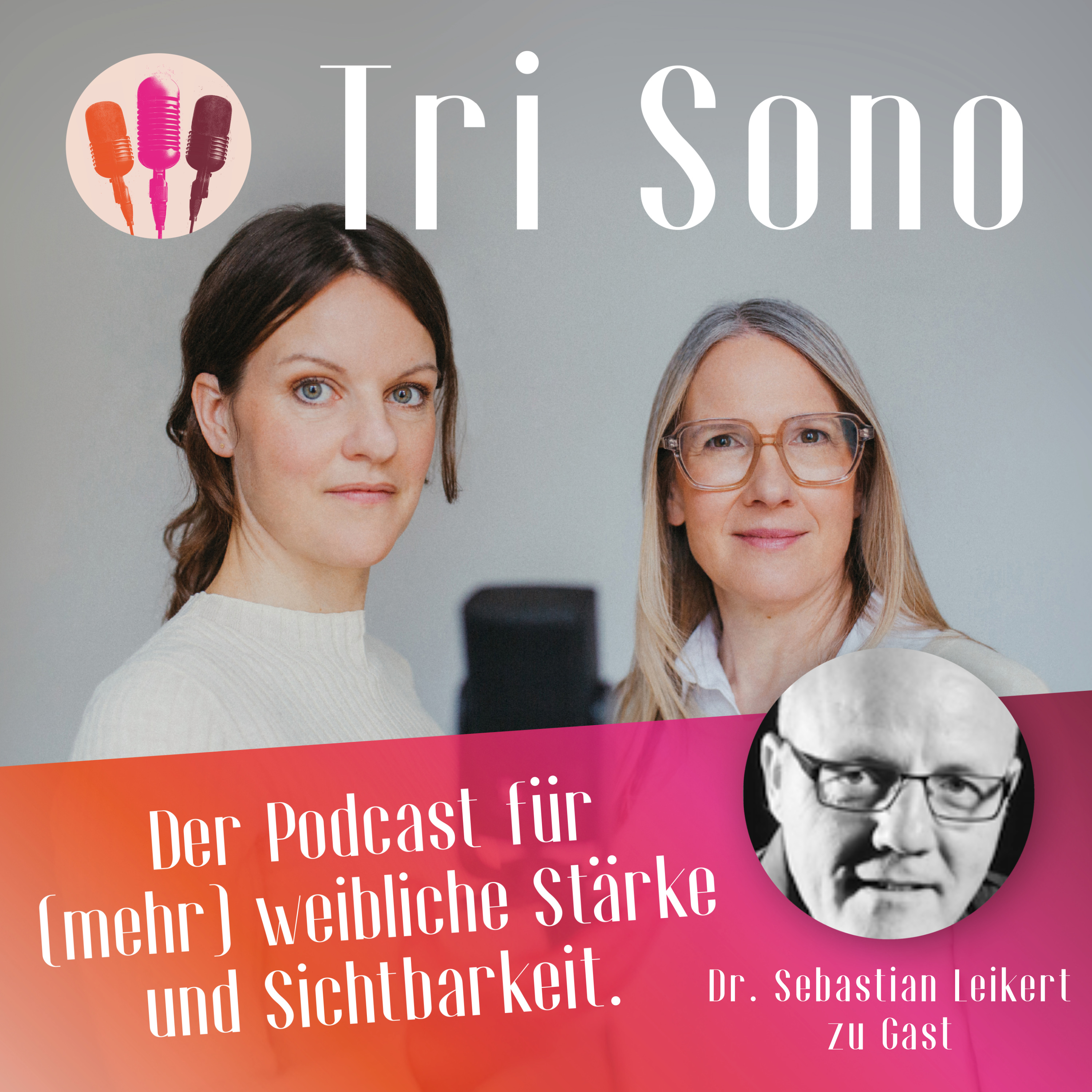 Neue Männlichkeit - Vorbildwüste oder Rollenwechsel für das “Team Gleichberechtigung”? Dr. Sebastian Leikert im Gespräch episode artwork