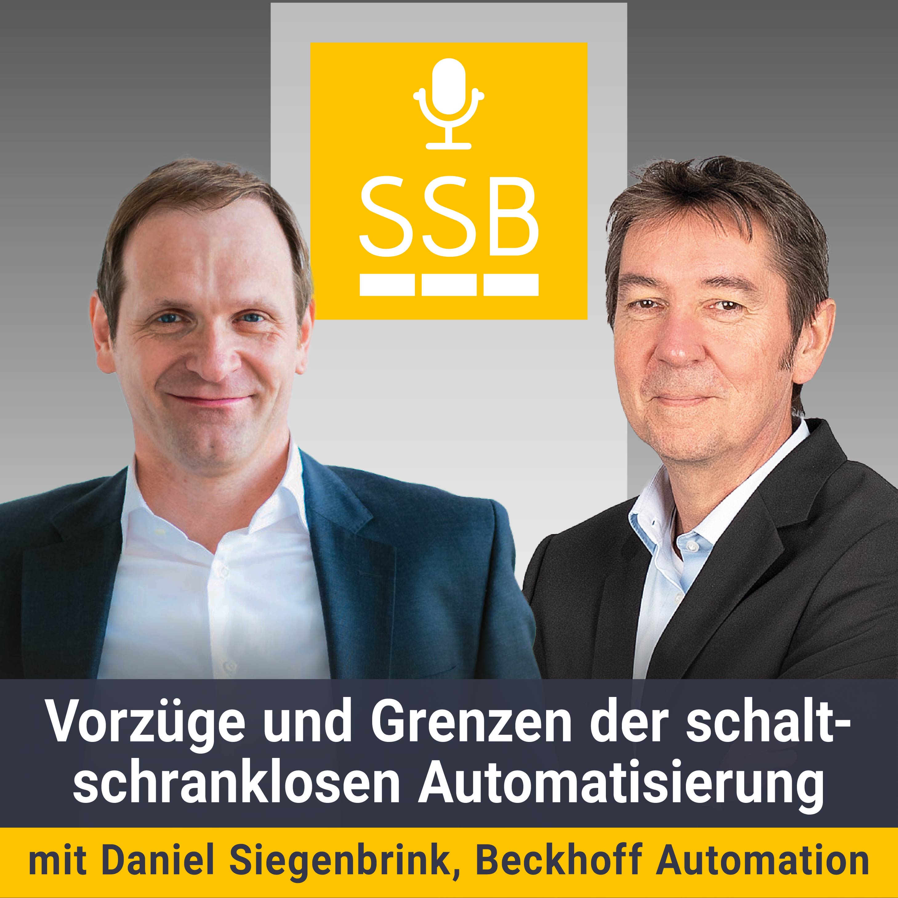 Vorzüge und Grenzen der schaltschranklosen Automatisierung
