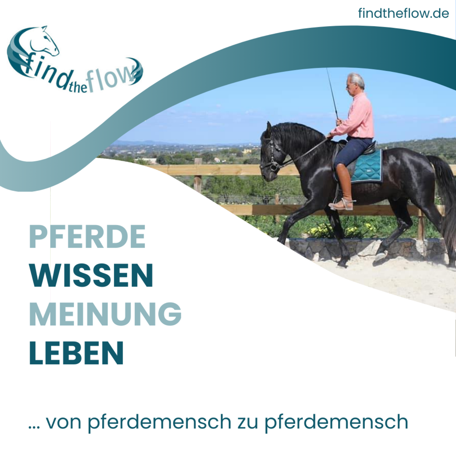 find the flow ... von pferdemensch zu pferdemensch