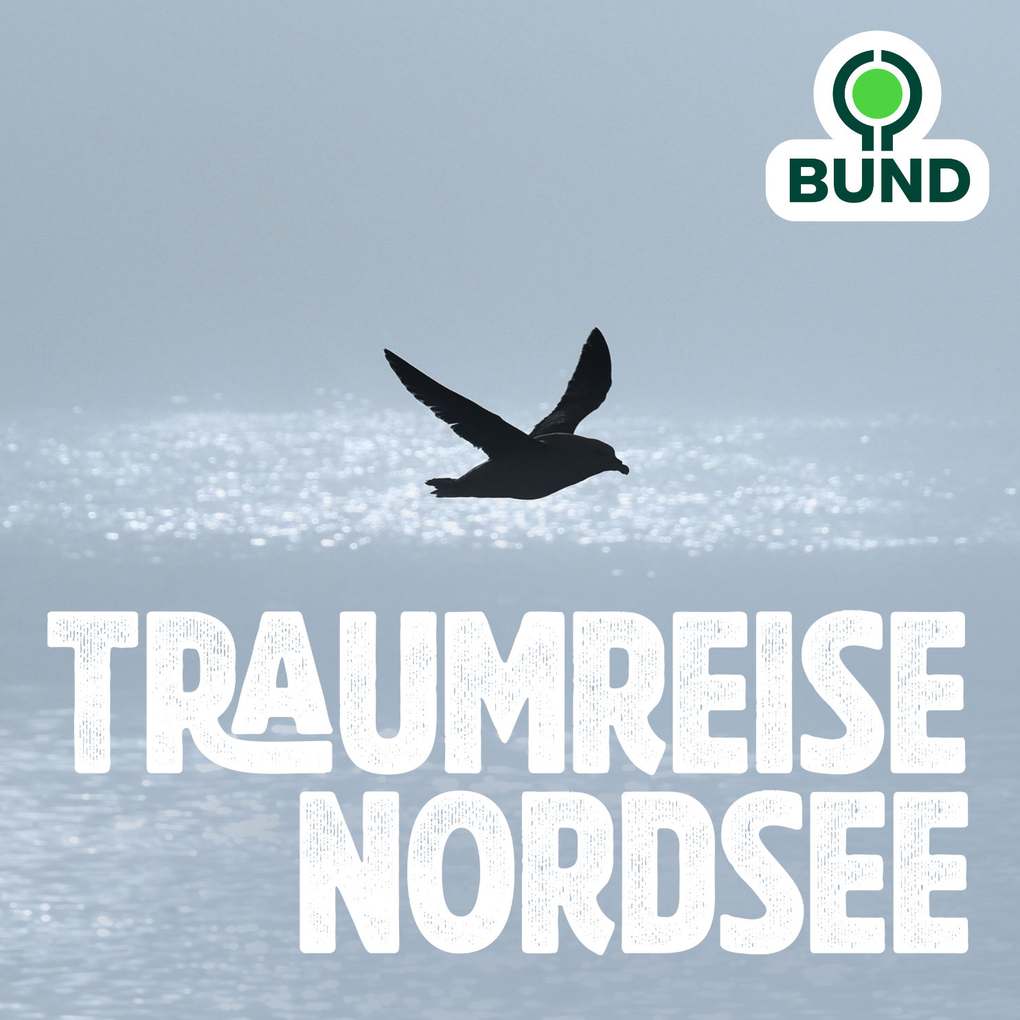 Eingetaucht in die Vielfalt der Nordsee cover art