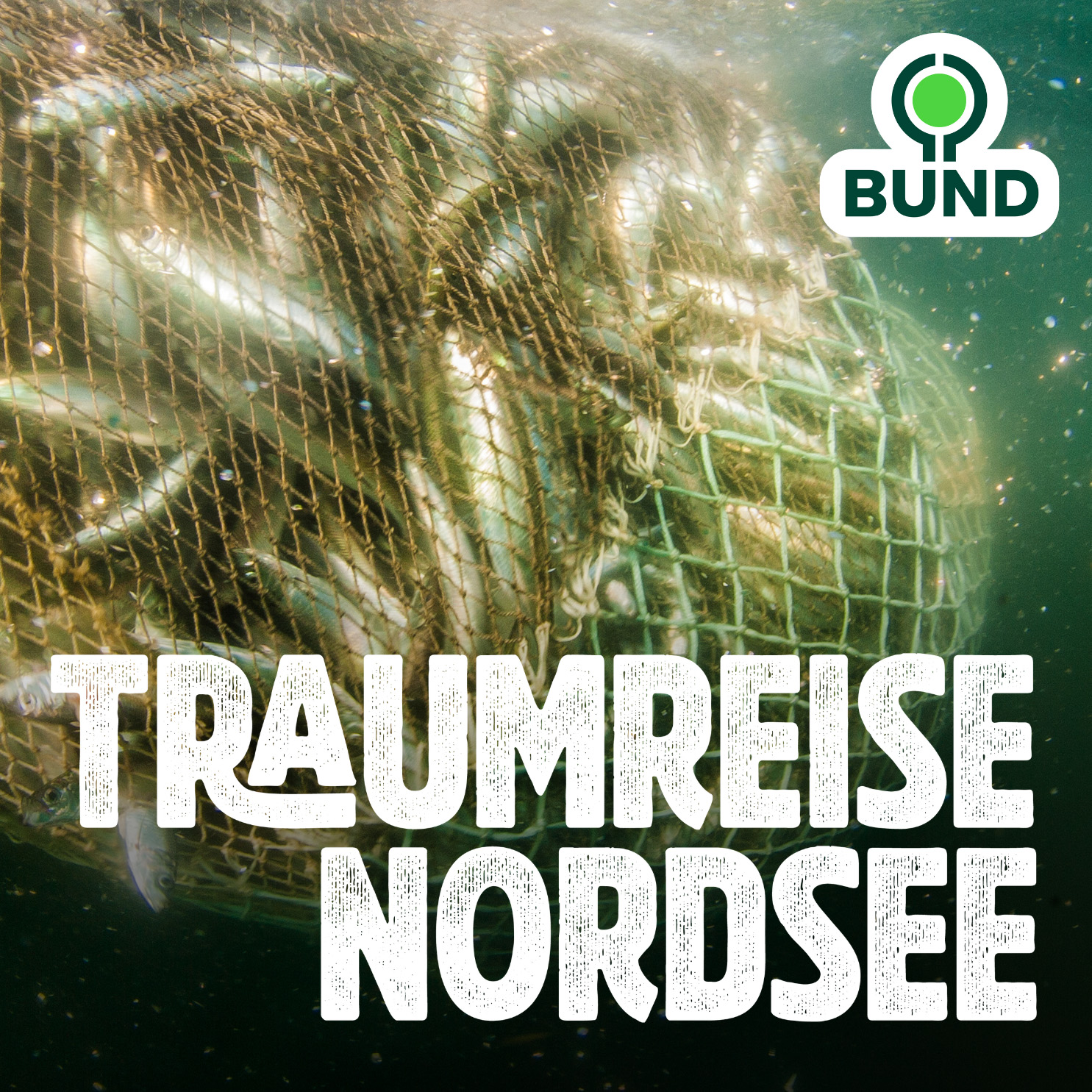 Kapitel 5 l Der Mensch und das Meer episode artwork