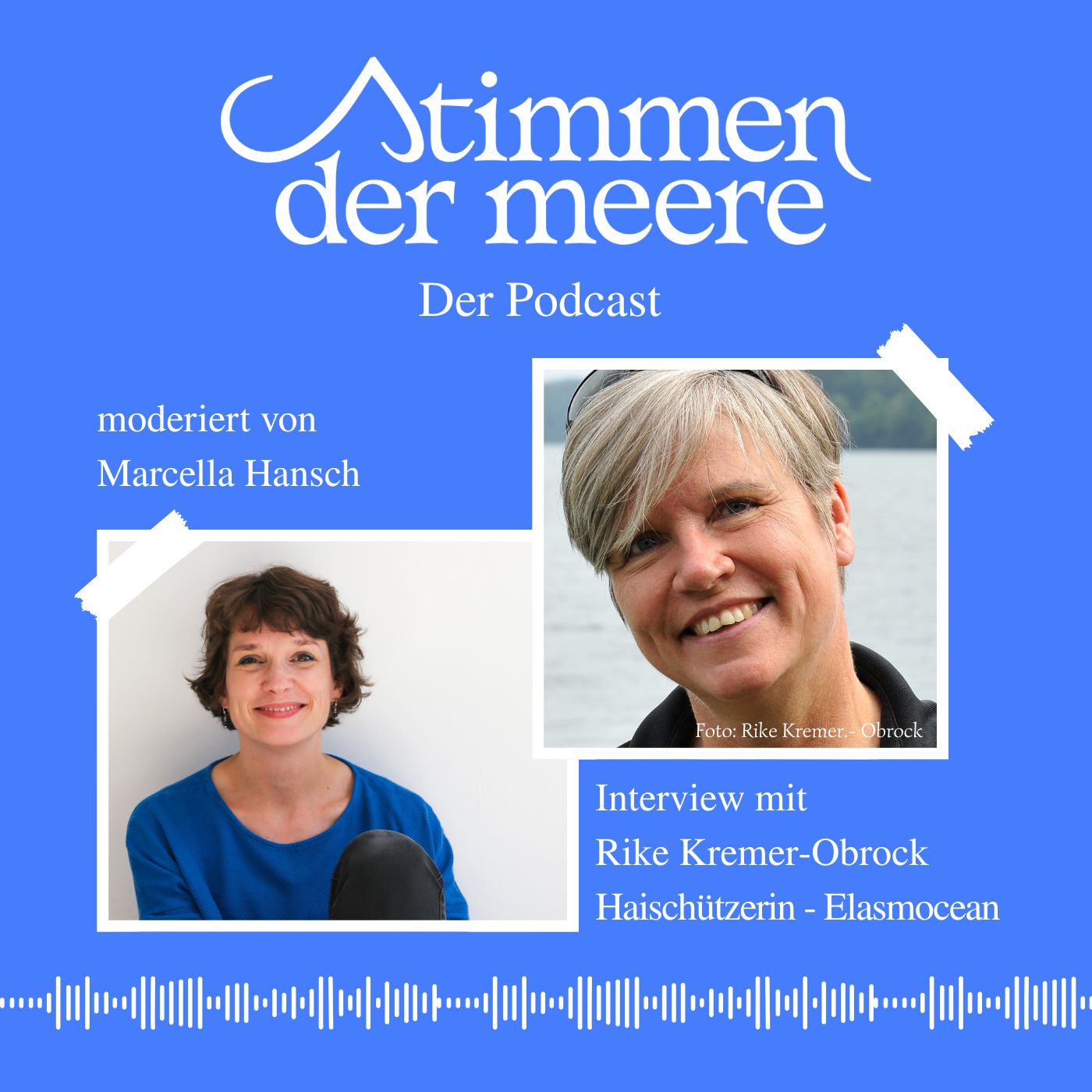Haie, Haltung, Herzblut – Rike Kremer-Obrock von ElasmOcean im Gespräch