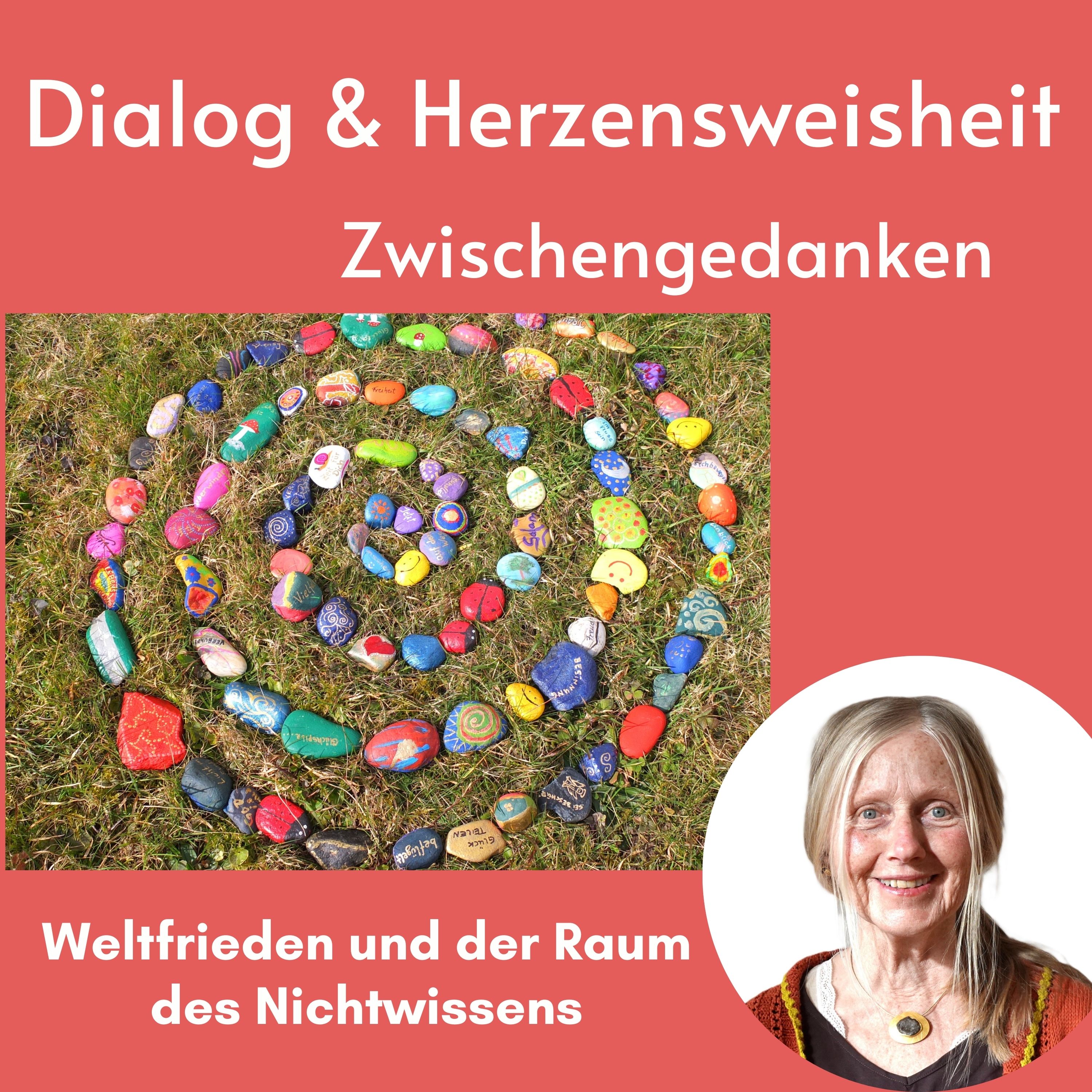 Weltfrieden und der Raum des Nichtwissens episode artwork