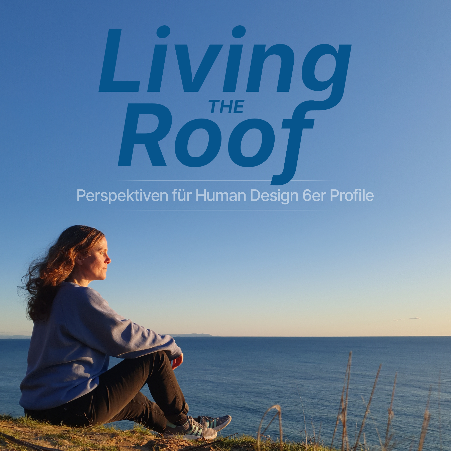 Living the Roof cover art