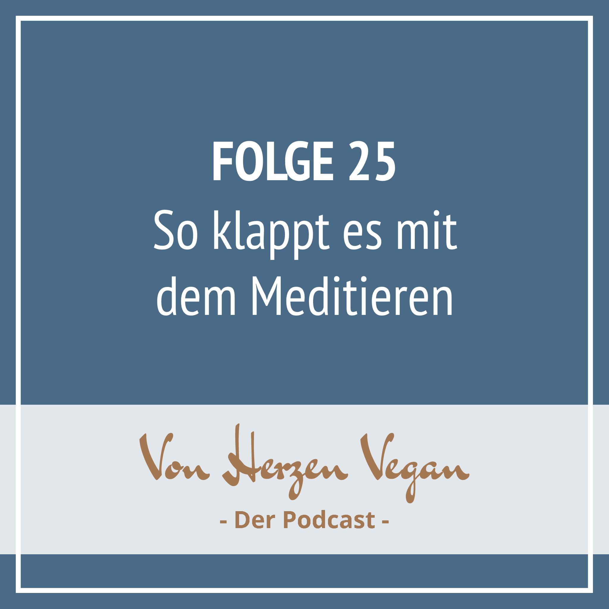 #025 - [Geschichte] So klappt es mit dem Meditieren episode artwork