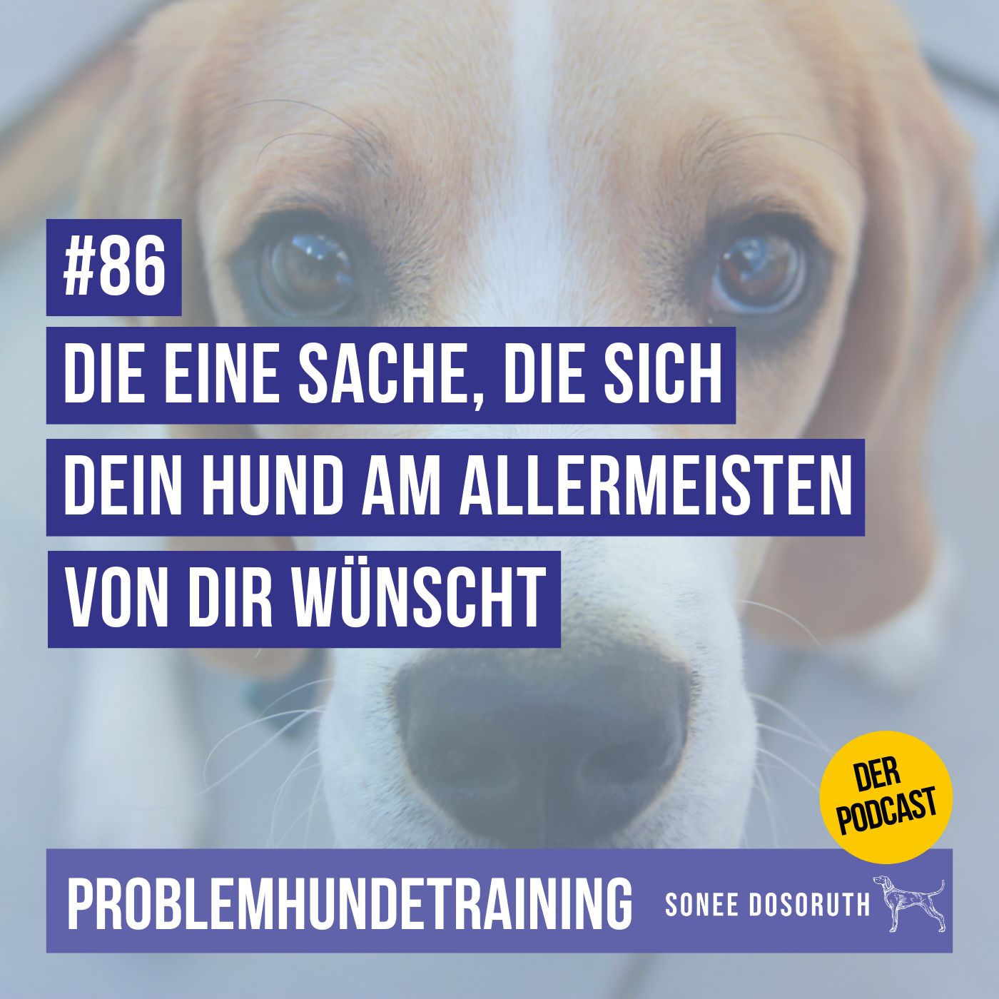 Die eine Sache, die sich dein Hund am allermeisten von dir wünscht Die eine Sache, die sich dein Hund am allermeisten von dir wünscht