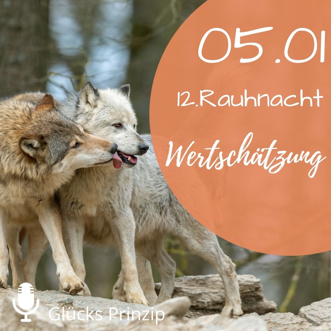 12. Rauhnacht ⭐️Wertschätzung ⭐️ am 05.01 steht für den Dezember