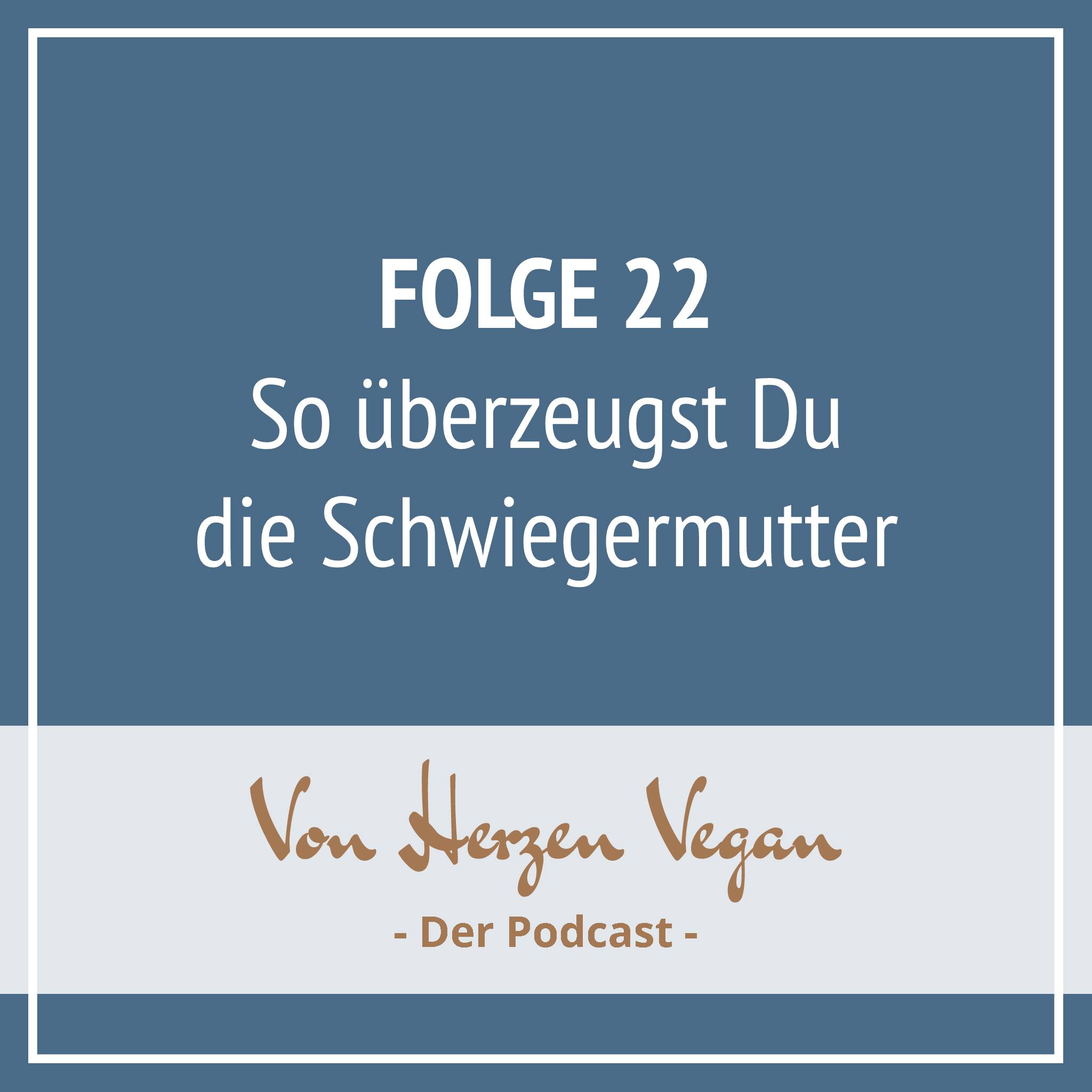 #022 - So überzeugst Du Deine Schwiegermutter episode artwork