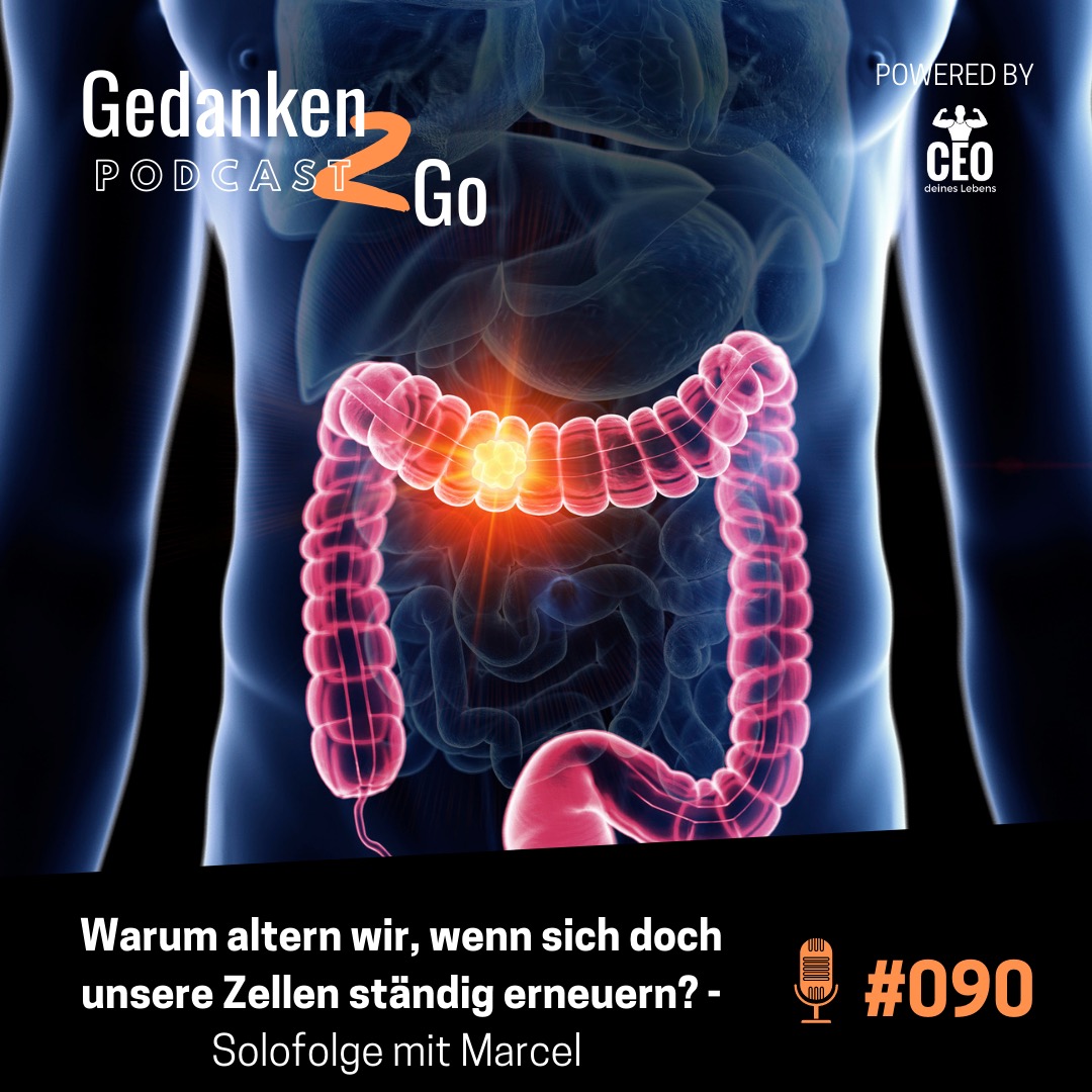 Gedanken2Go