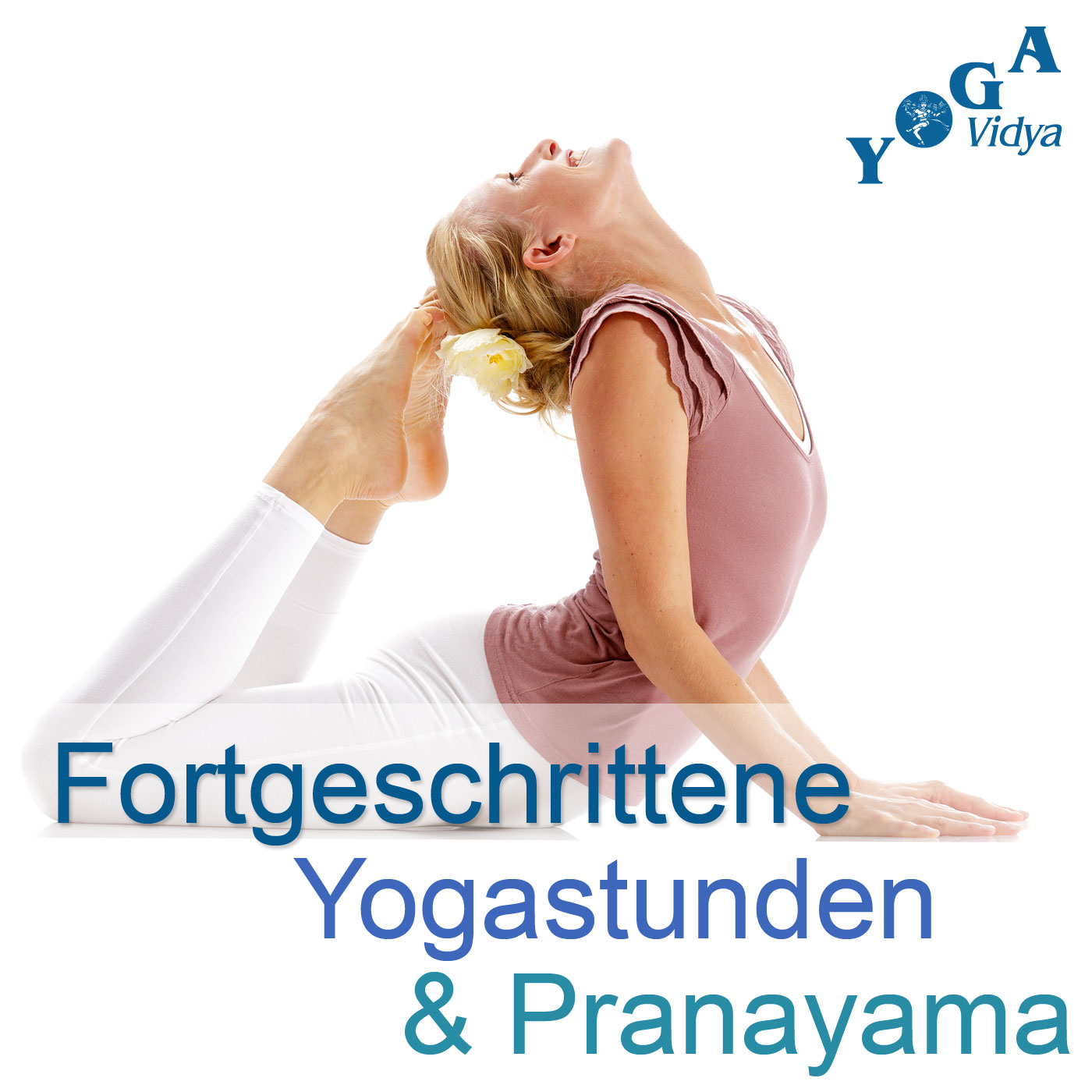 Fortgeschrittene Yogastunden und Pranayama