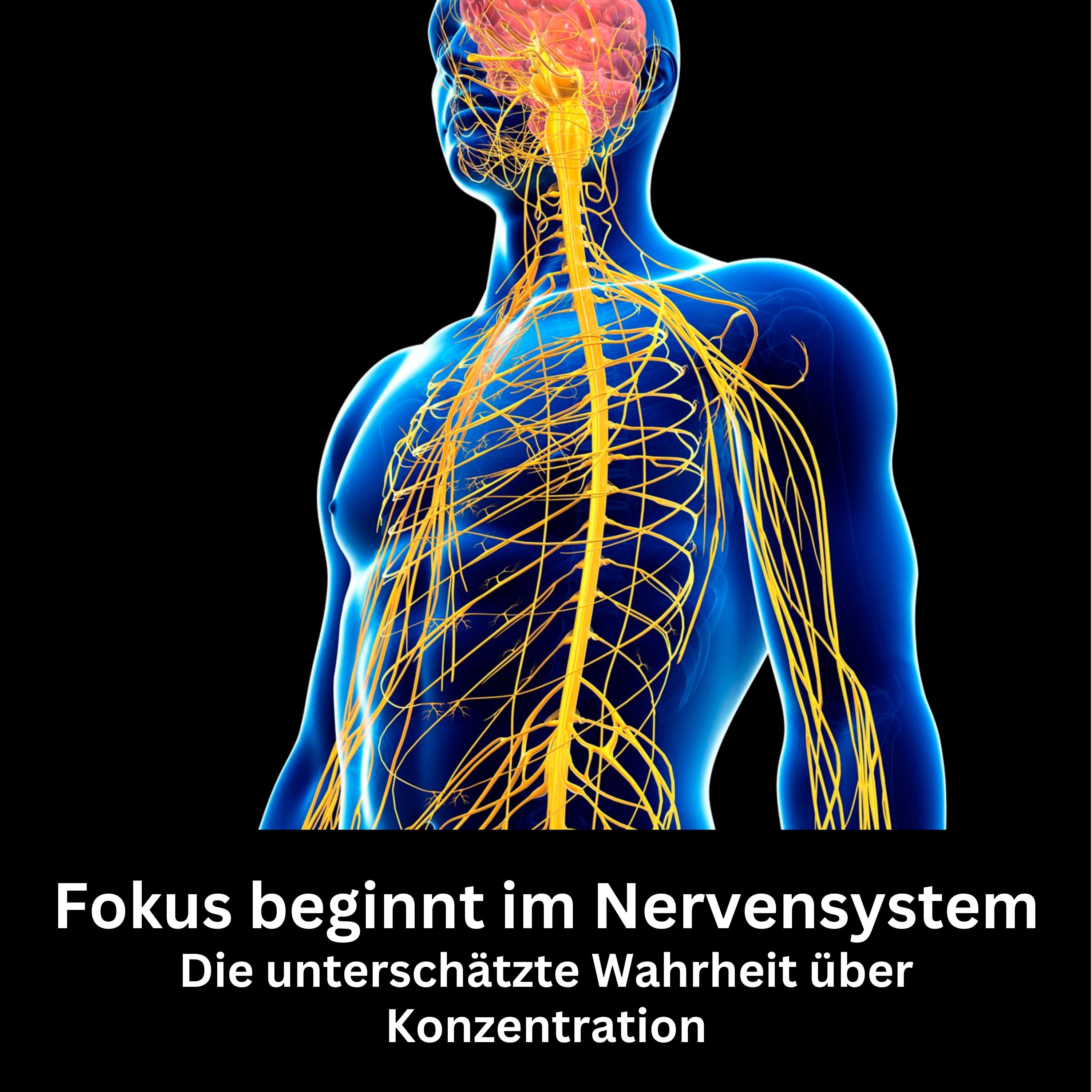 #54 - Fokus beginnt im Nervensystem – Die unterschätzte Wahrheit über Konzentration episode artwork