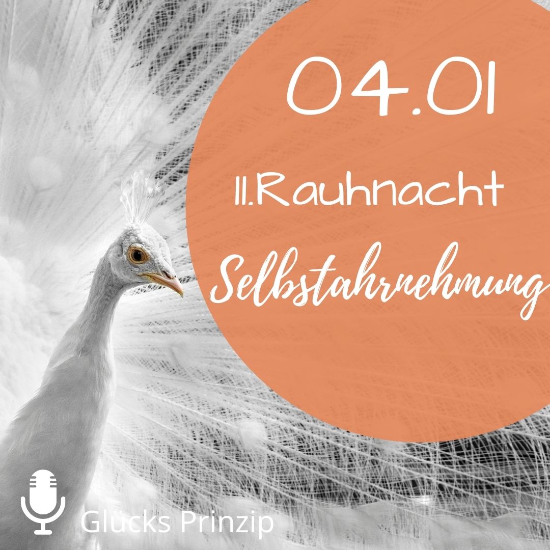 11. Rauhnacht ⭐️Selbstwahrnehmung ⭐️ am 04.01 steht für den November