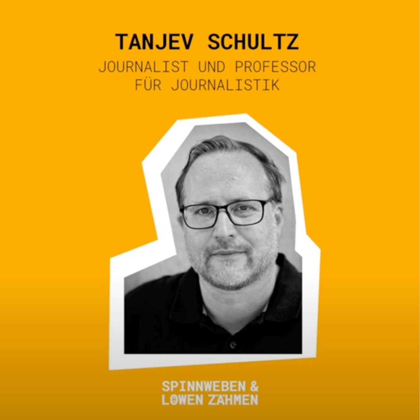 Spinnweben und Löwen zähmen. Der Demokratiepodcast.