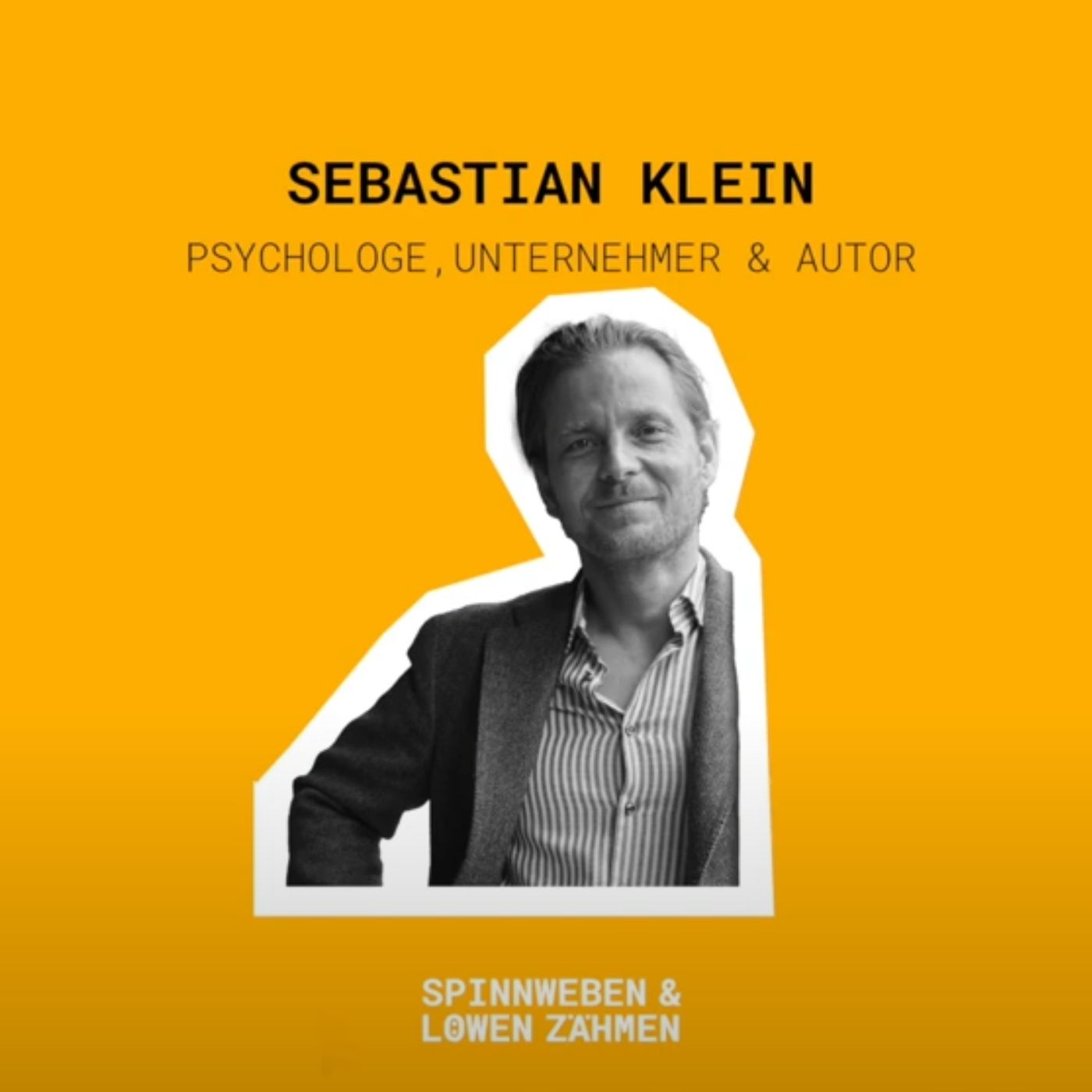 Spinnweben und Löwen zähmen. Der Demokratiepodcast.