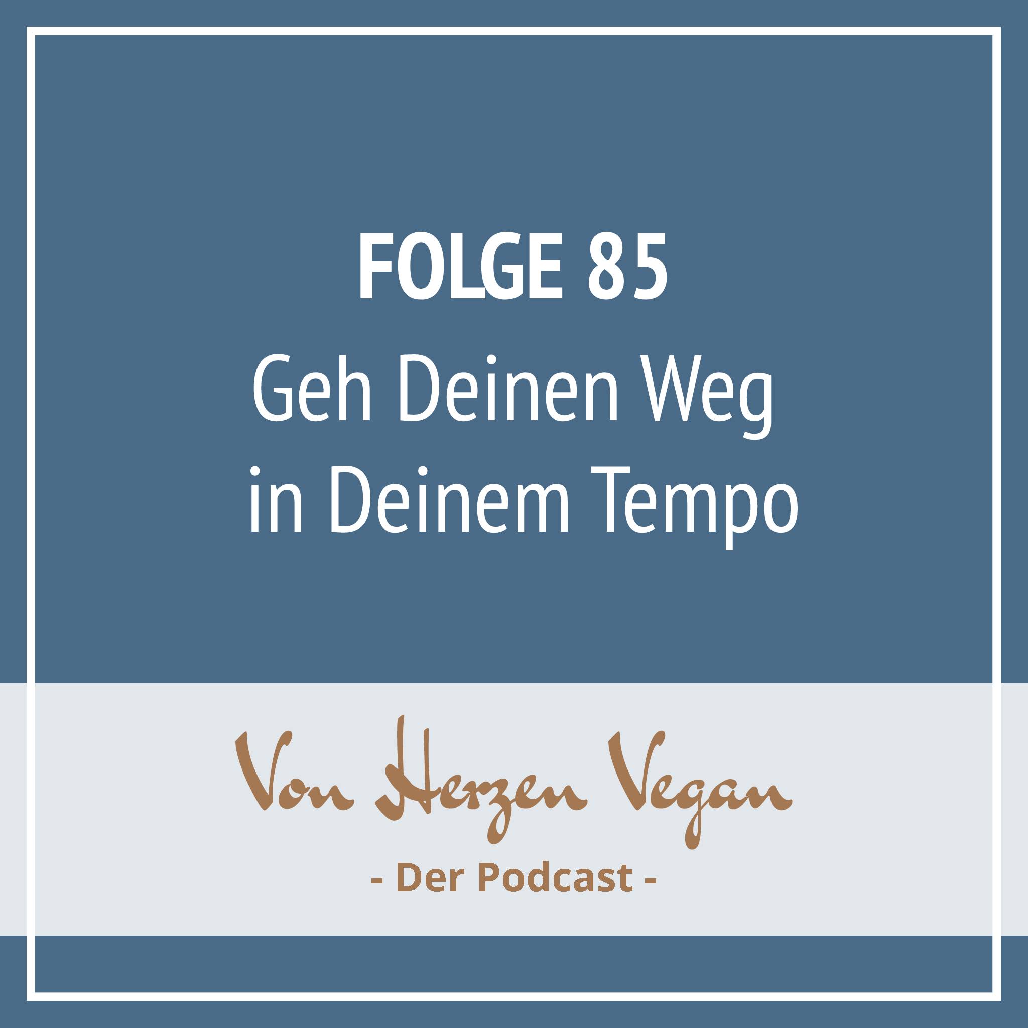 #085 - Geh Deinen Weg in Deinem Tempo episode artwork