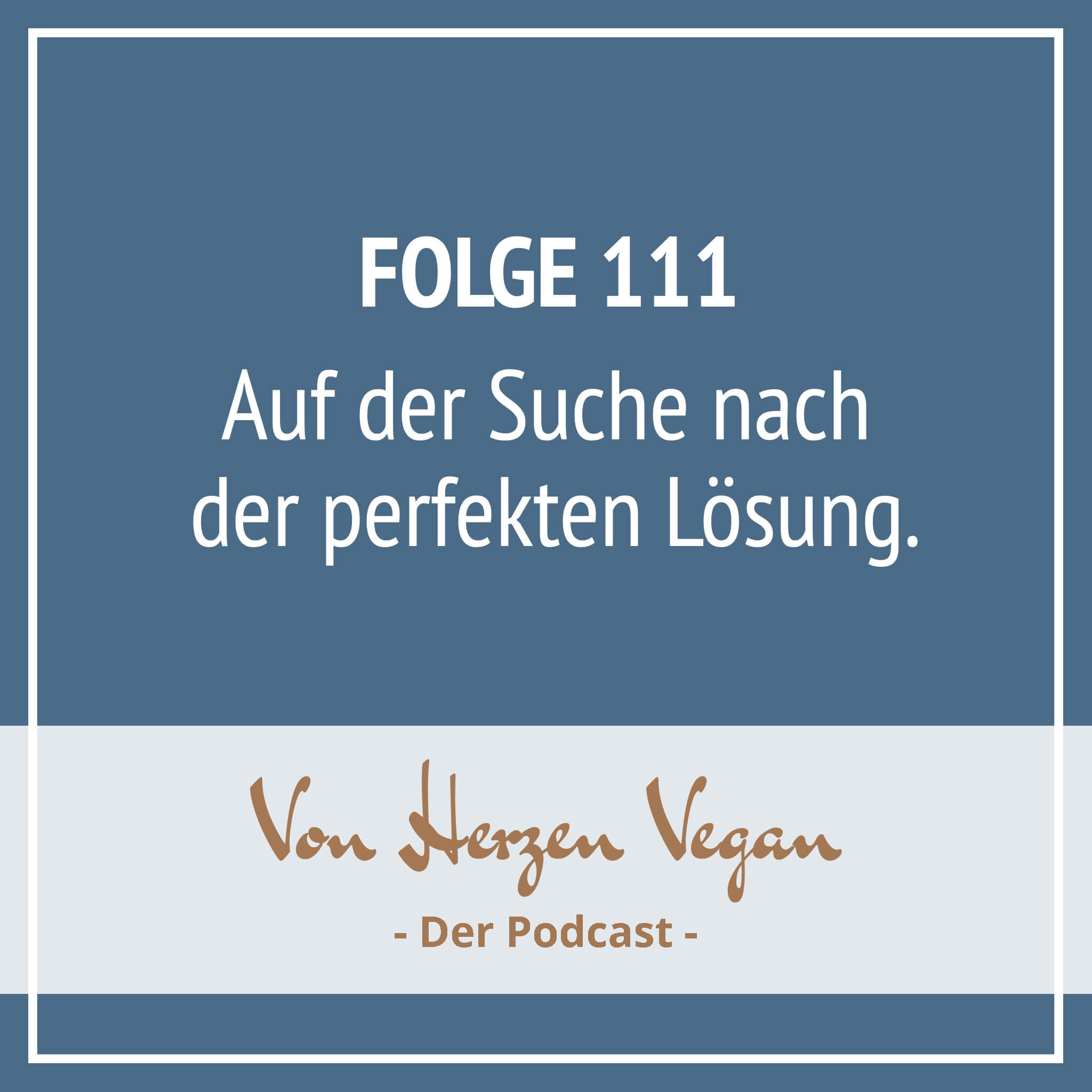 #111 - Auf der Suche nach der perfekten Lösung episode artwork
