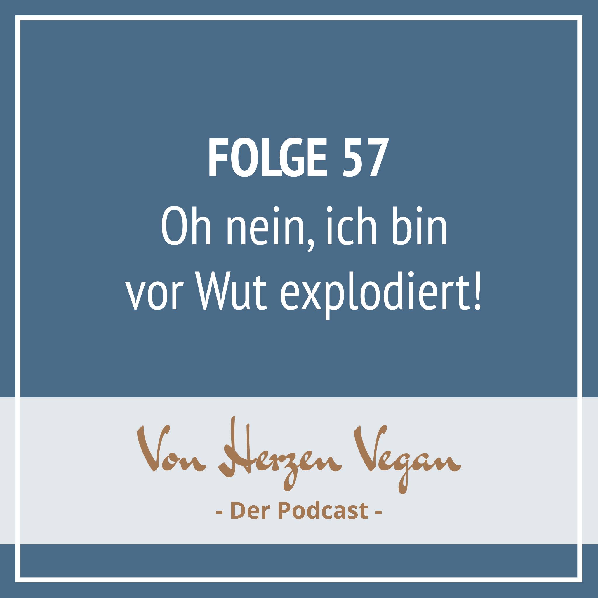 #057 - Jetzt ist es passiert: ich bin vor Wut explodiert! episode artwork