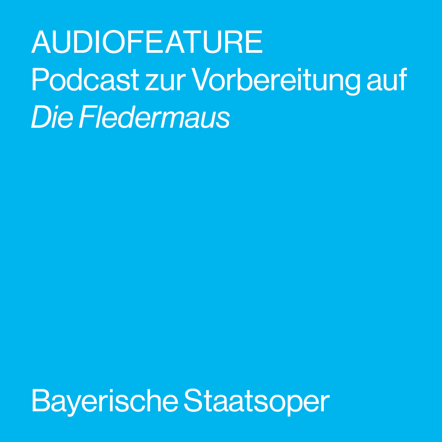 AUDIOFEATURE zu DIE FLEDERMAUS AUDIOFEATURE zu DIE FLEDERMAUS