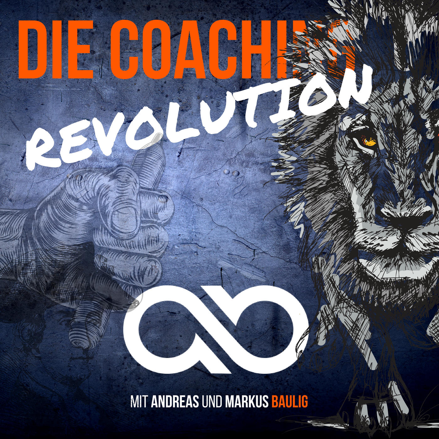 DIE COACHING-REVOLUTION mit Andreas Baulig & Markus Baulig: Online-Marketing | Business | Coaching | Consulting | Motivation
