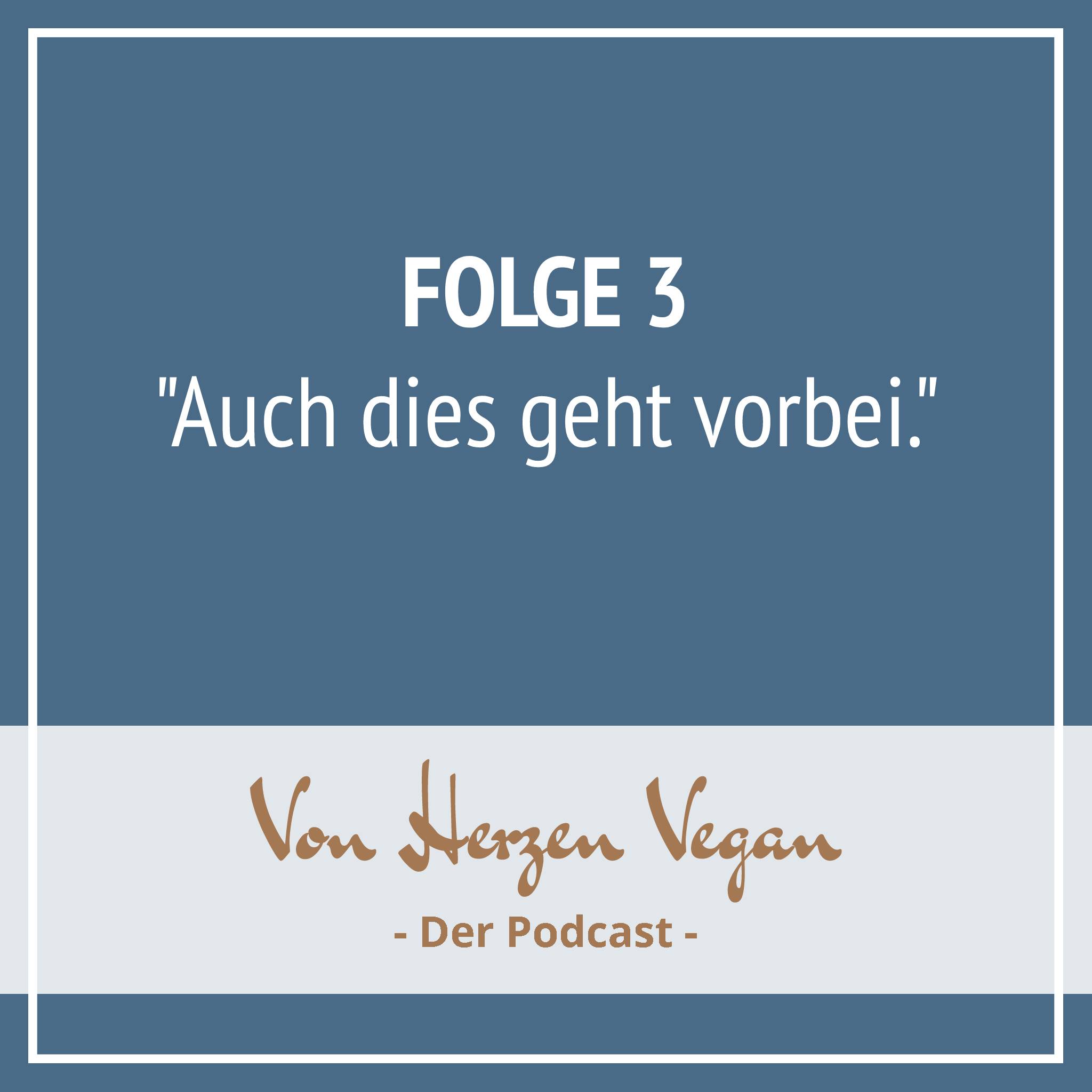 #003 - [Geschichte] "Auch dies geht vorbei." episode artwork